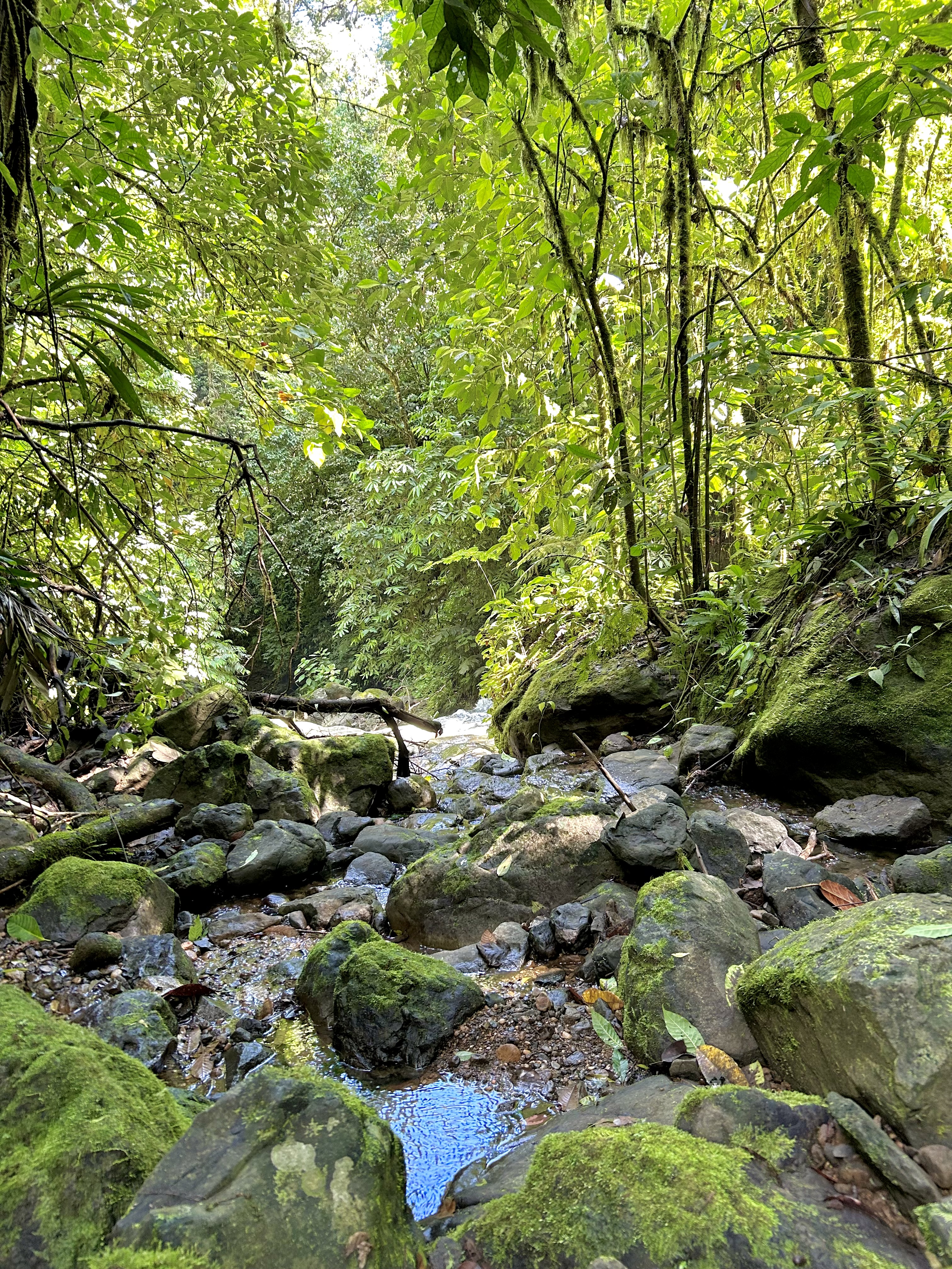 0 bed Land For Sale in Uvita, Puntarenas - thumb 6