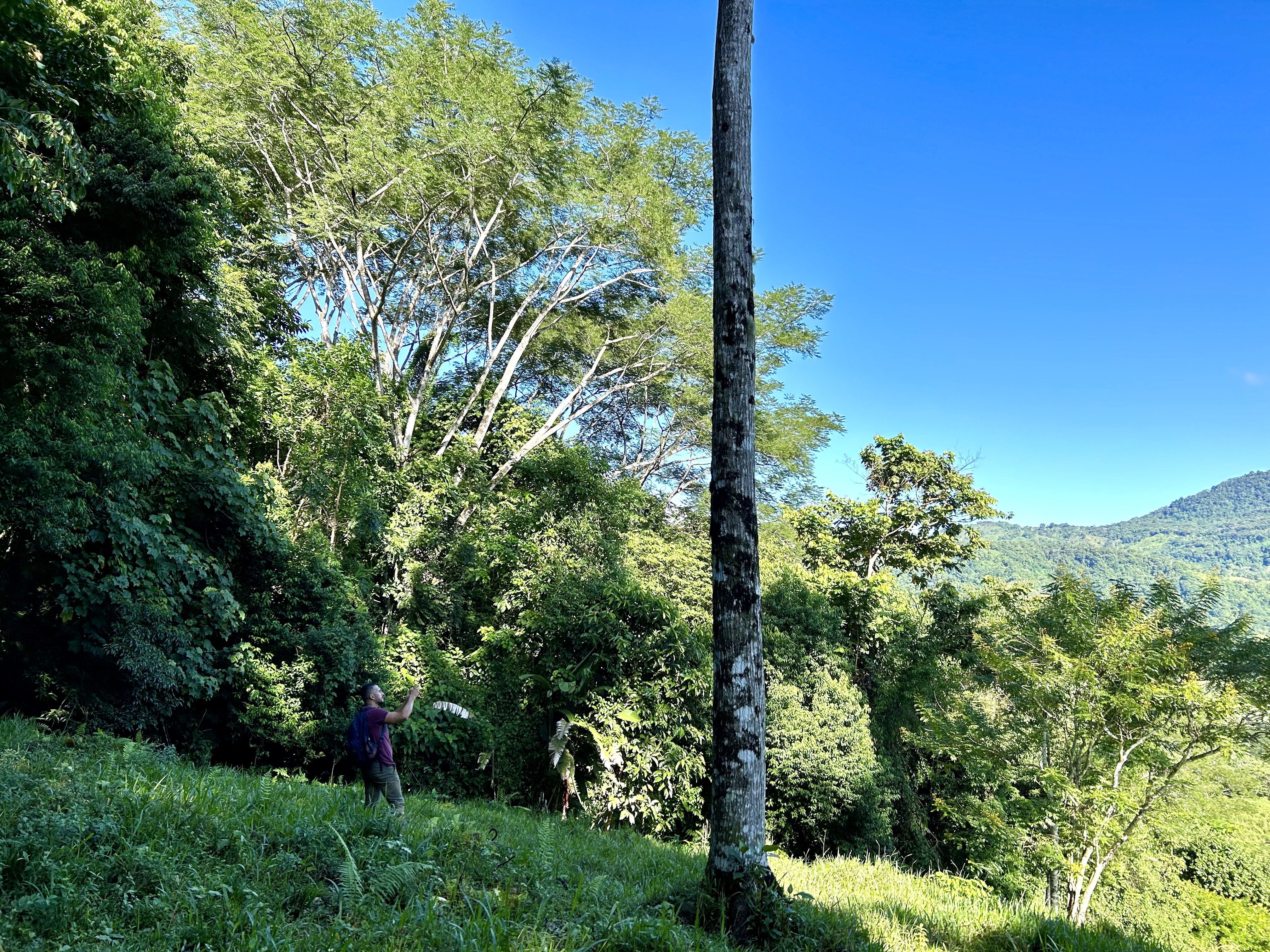 0 bed Land For Sale in Uvita, Puntarenas - thumb 27