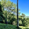  - Over 123 Acres Farm in San Josecito De Morete, in Uvita Mountains