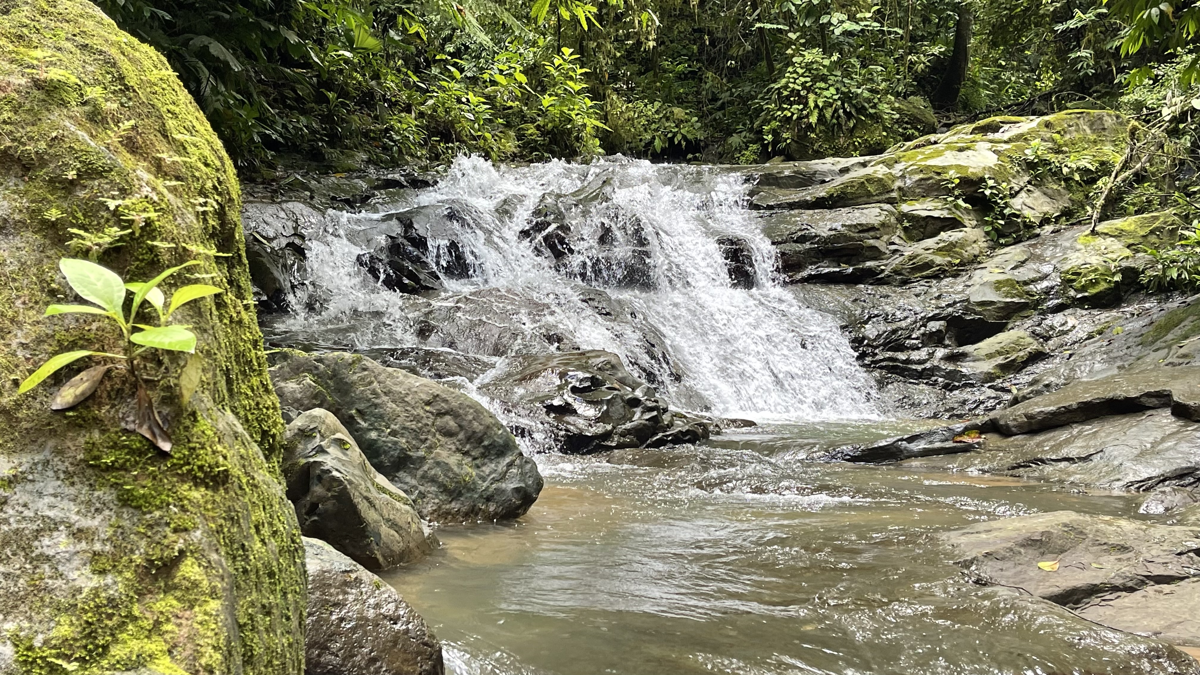 0 bed Land For Sale in Uvita, Puntarenas - thumb 15