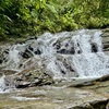  - Over 123 Acres Farm in San Josecito De Morete, in Uvita Mountains