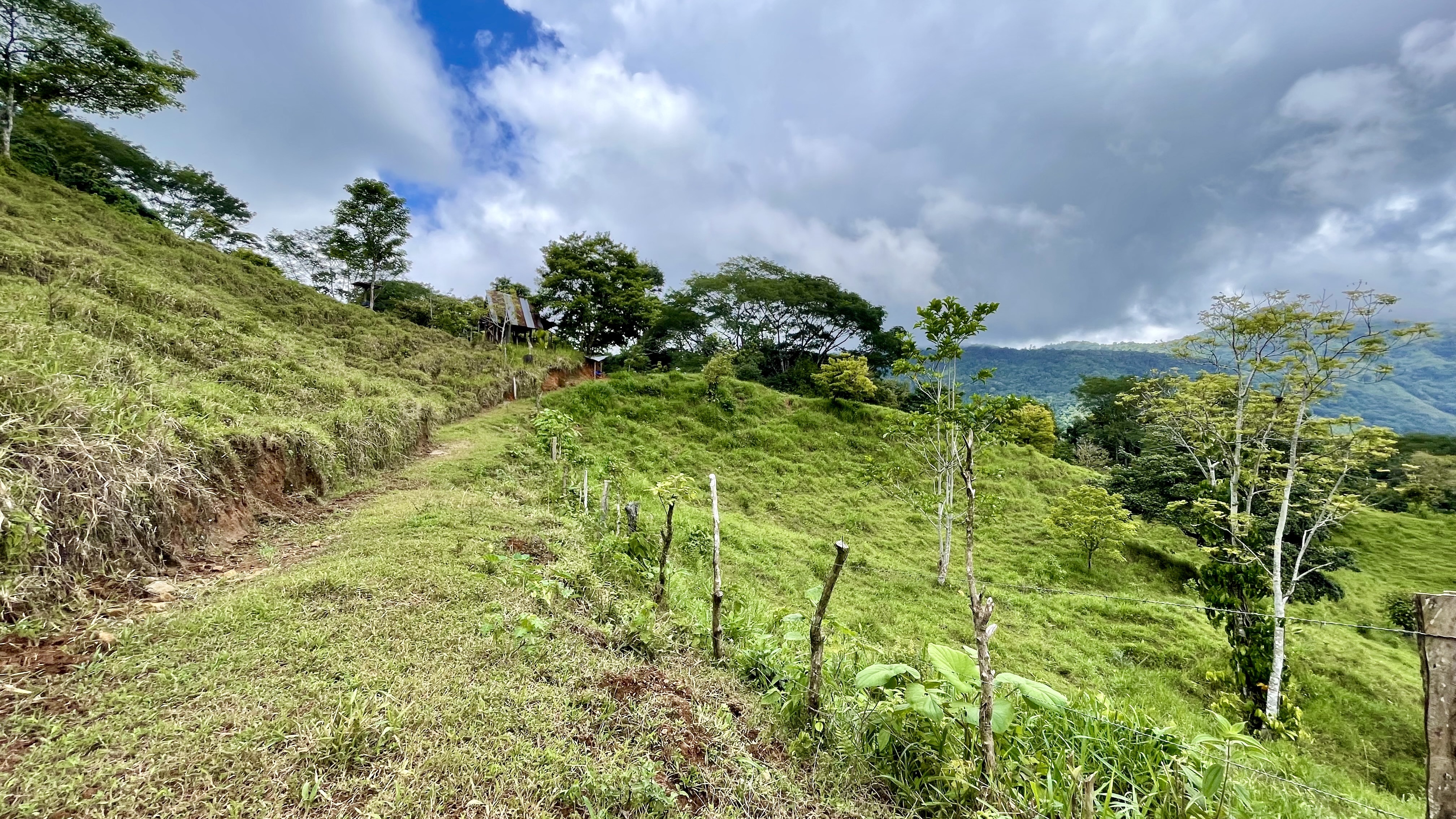 0 bed Land For Sale in Uvita, Puntarenas - thumb 23