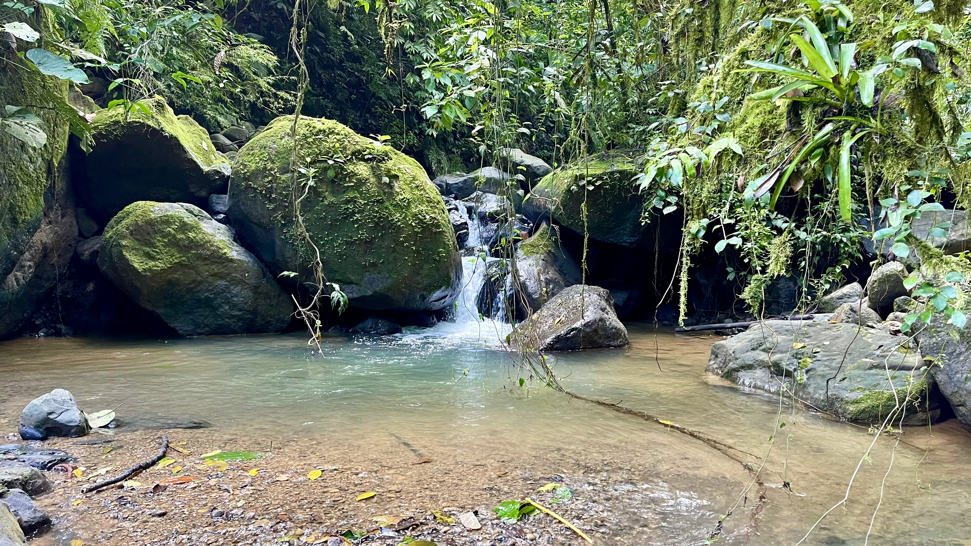 0 bed Land For Sale in Uvita, Puntarenas - thumb 14