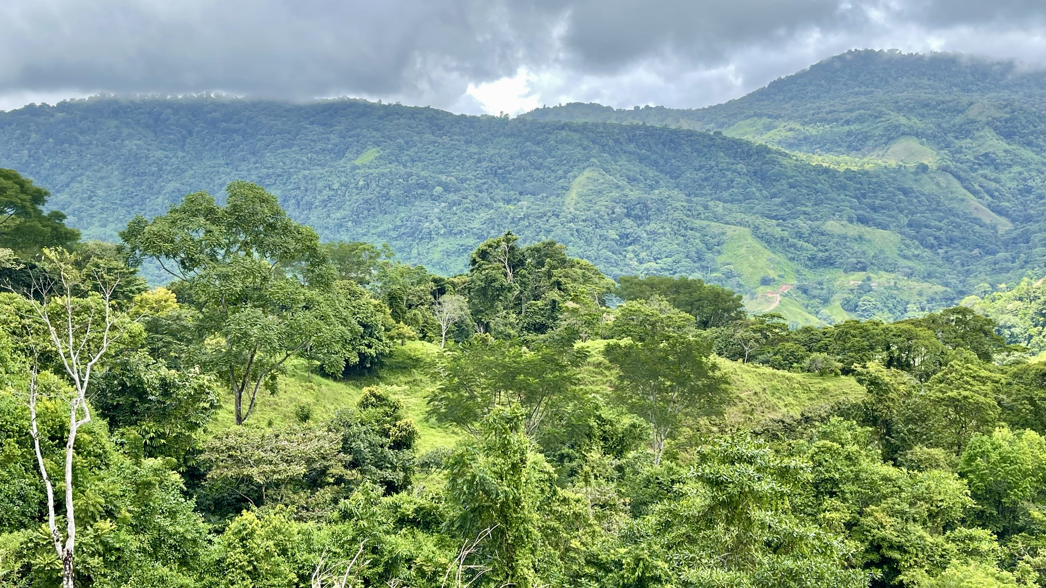 0 bed Land For Sale in Uvita, Puntarenas - thumb 21