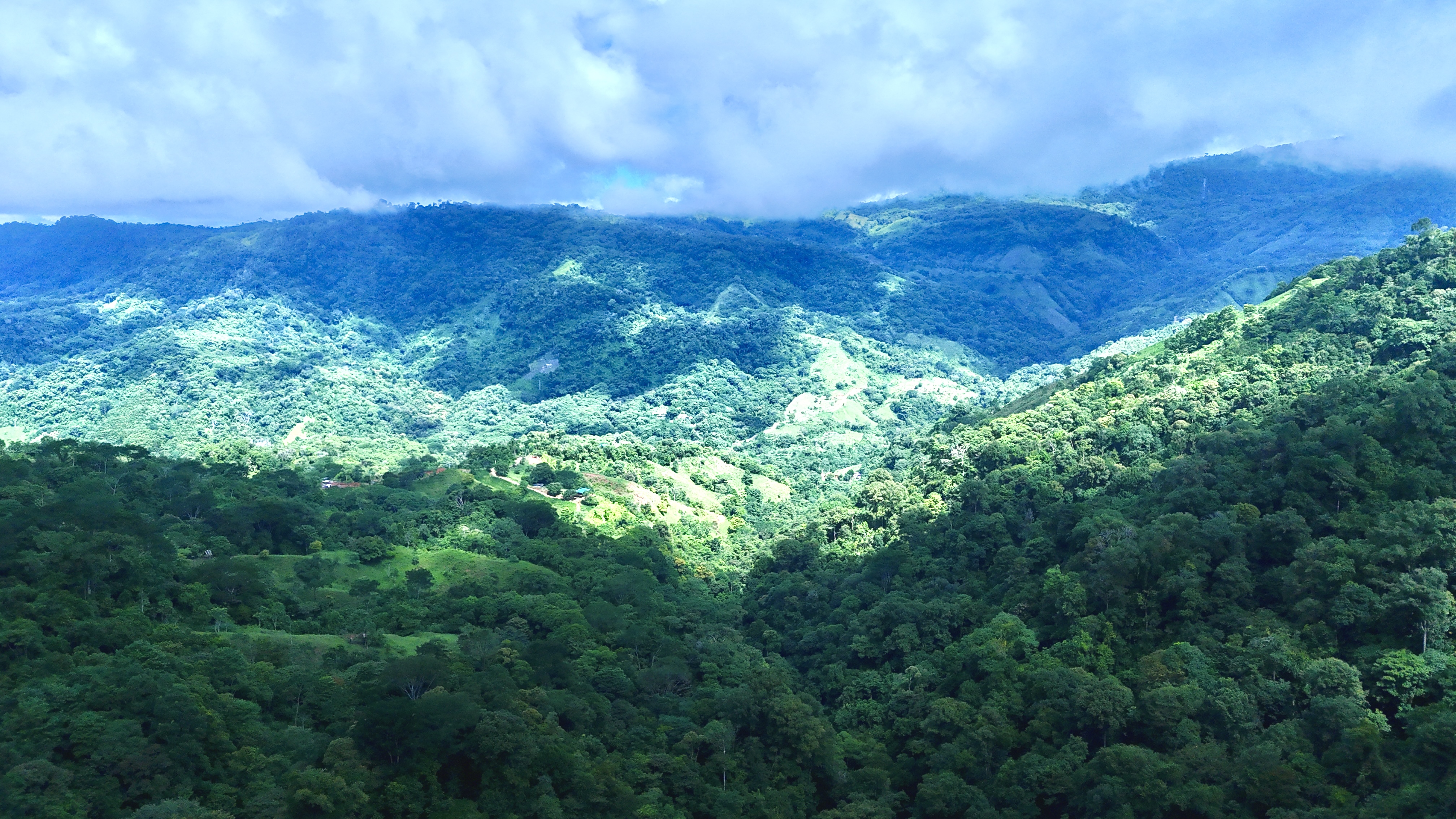 0 bed Land For Sale in Uvita, Puntarenas - thumb 11