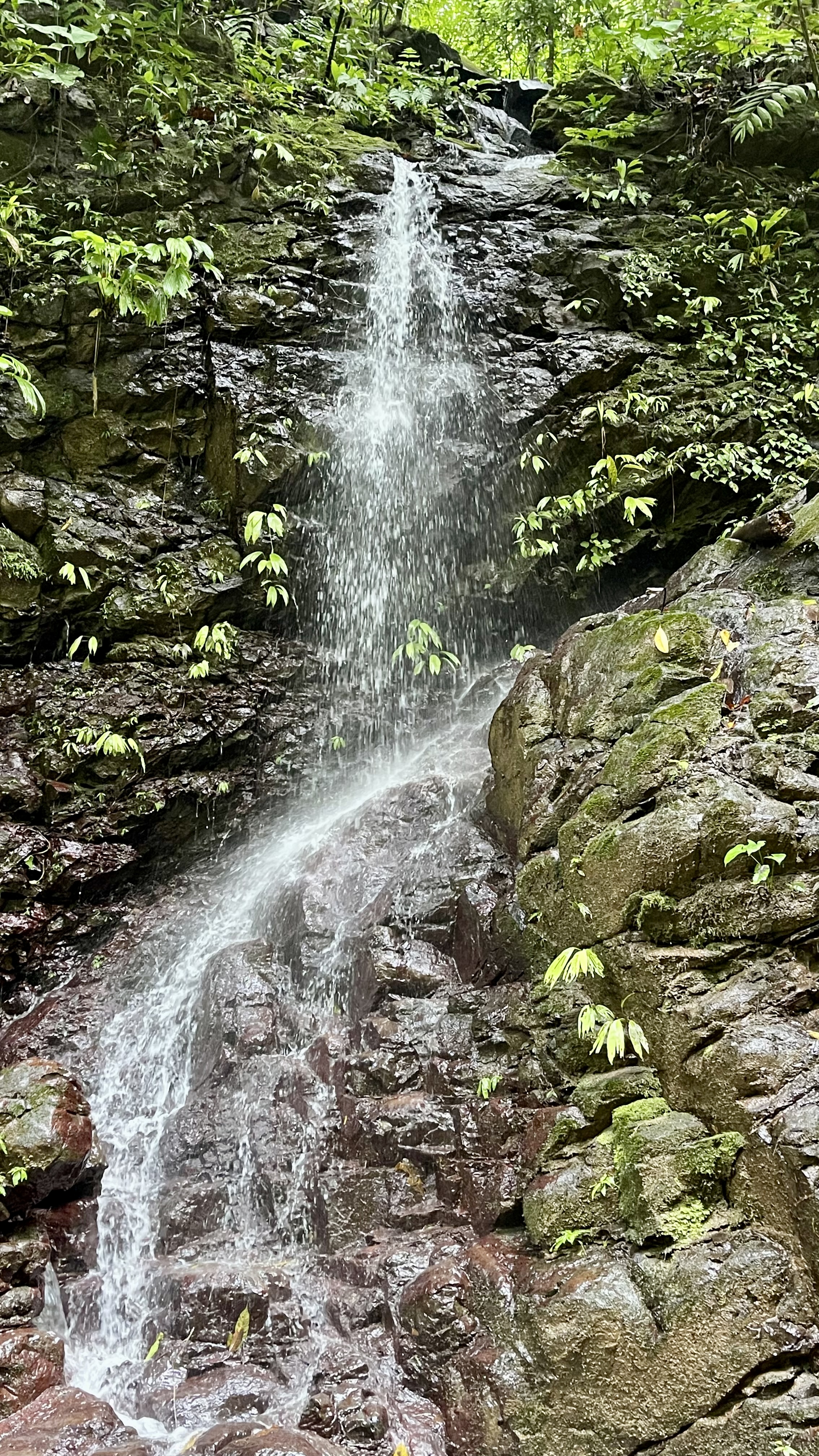 0 bed Land For Sale in Uvita, Puntarenas - thumb 18