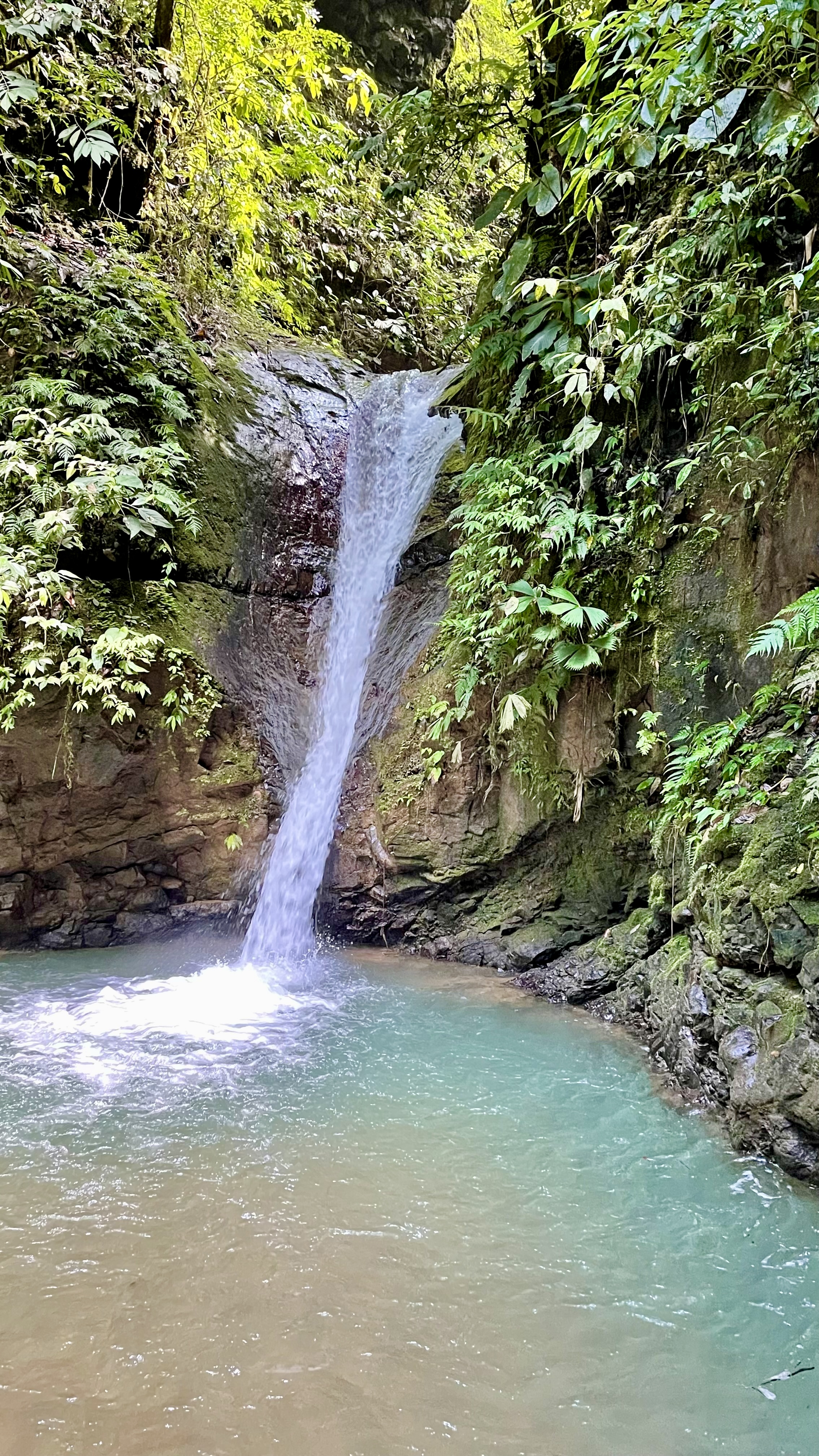 0 bed Land For Sale in Uvita, Puntarenas - thumb 8