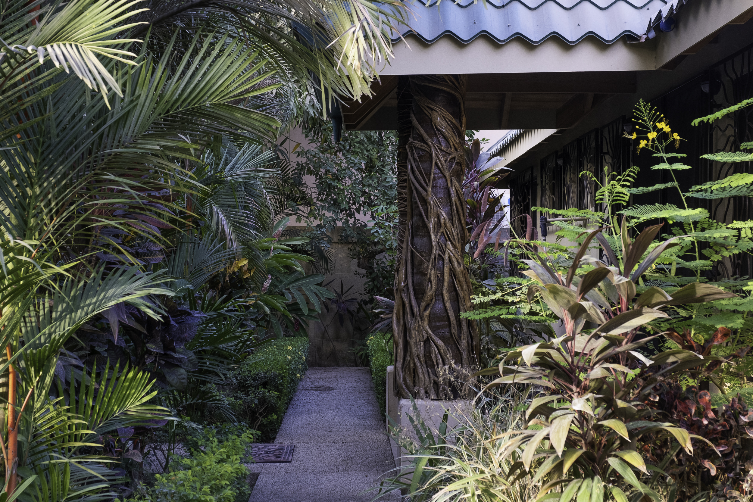 3 bed Single Family Homes For Rent in Nosara, Guanacaste - thumb 25