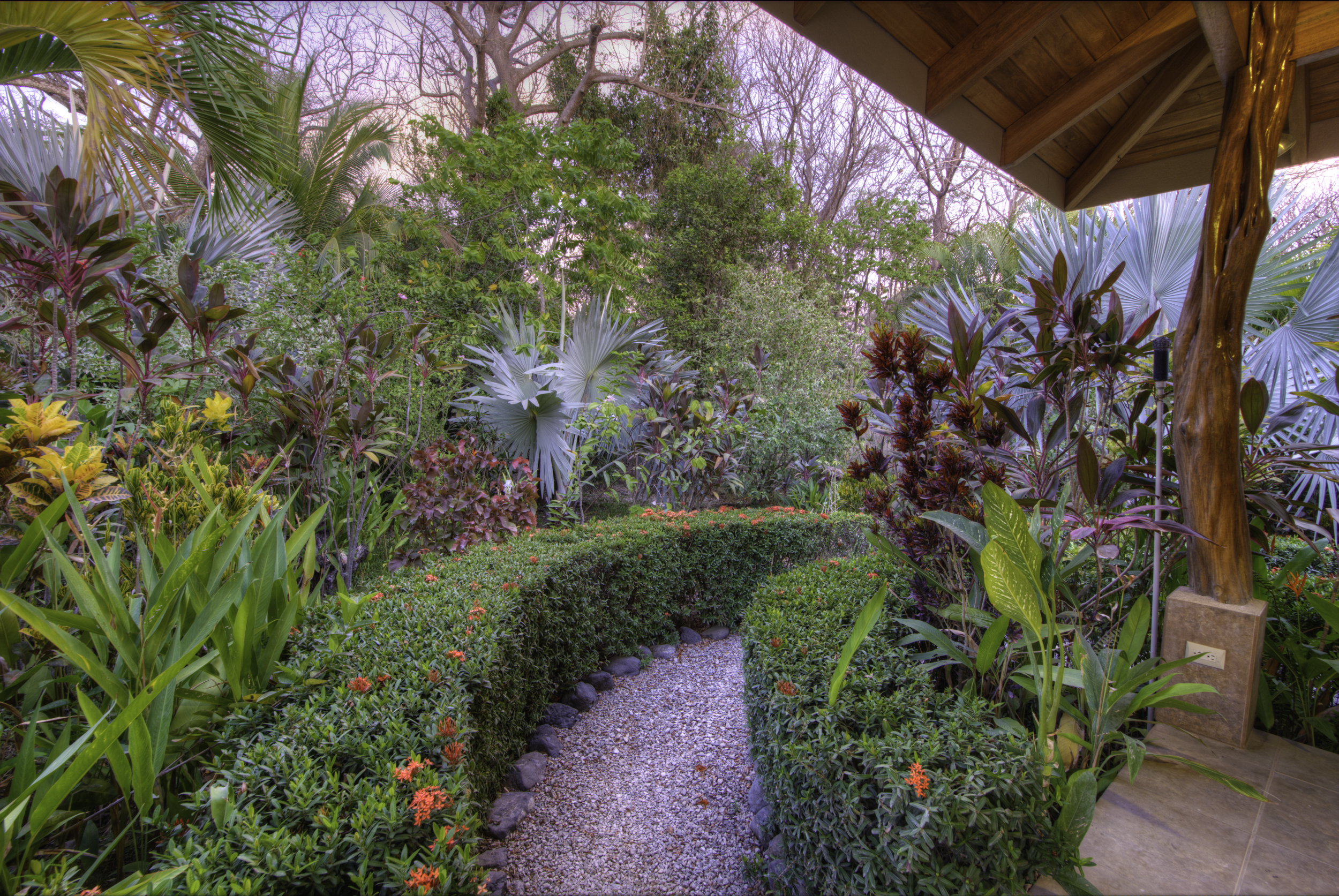 3 bed Single Family Homes For Rent in Nosara, Guanacaste - thumb 23