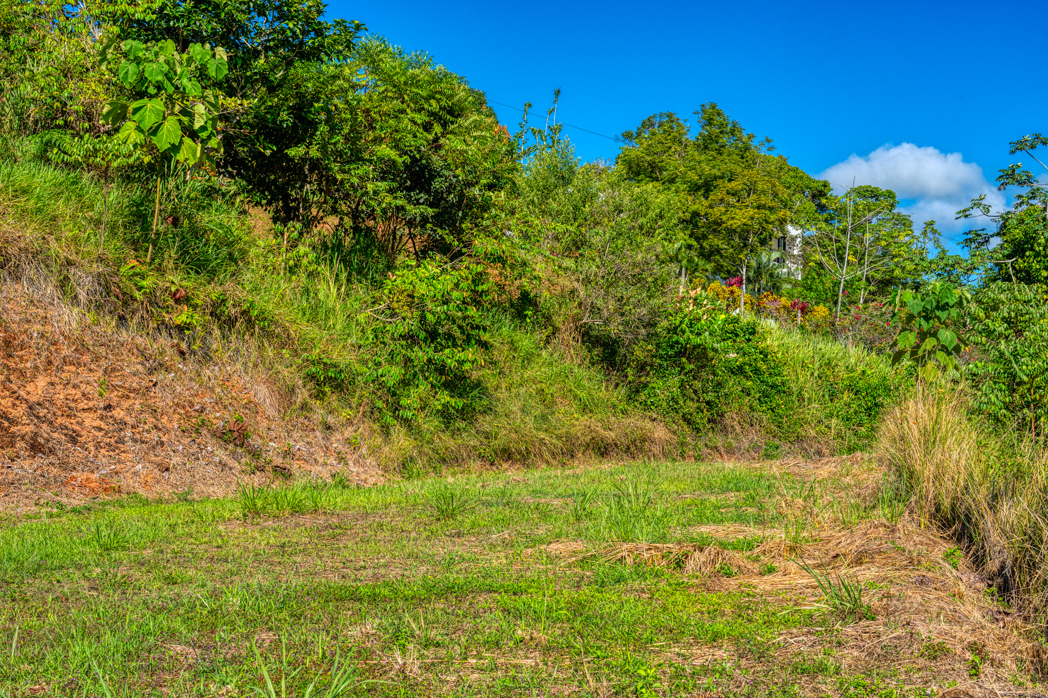 0 bed Land For Sale in Quepos, Puntarenas - thumb 5