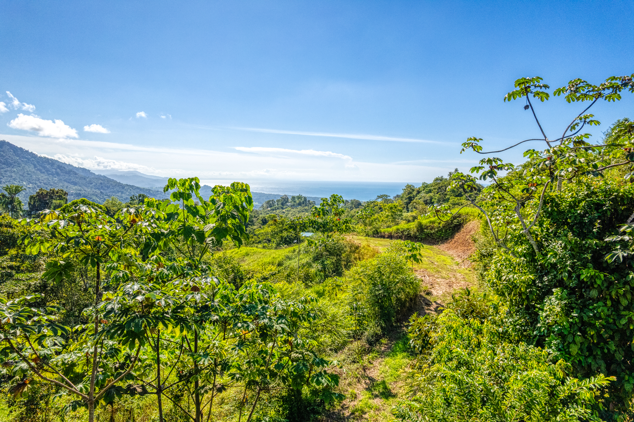 0 bed Land For Sale in Quepos, Puntarenas - thumb 4