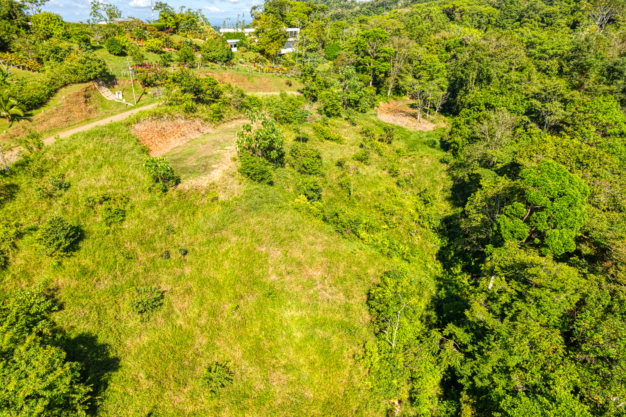 0 bed Land For Sale in Quepos, Puntarenas - thumb 9