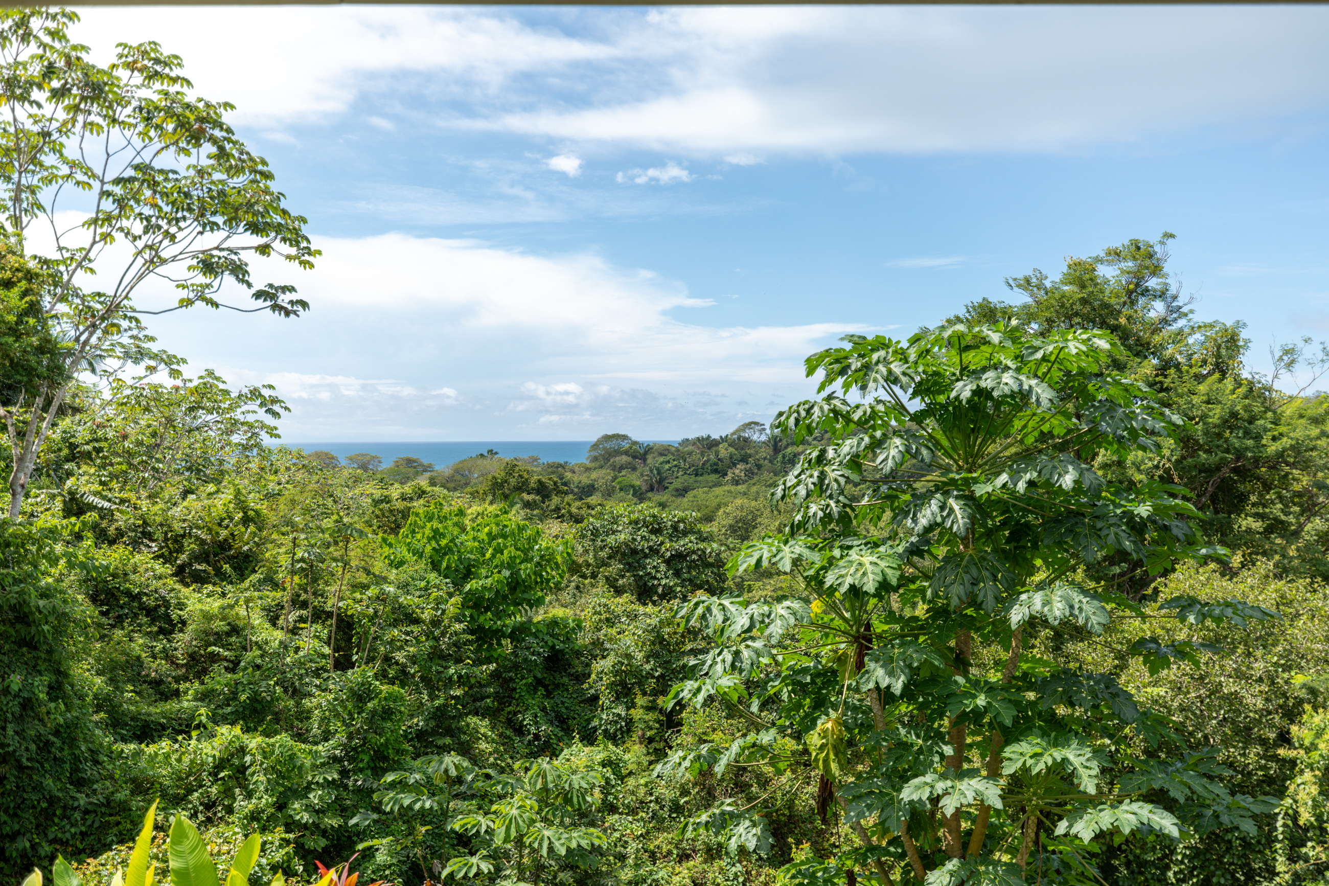 2 bed Single Family Homes For Sale in Ostional, Guanacaste - thumb 22