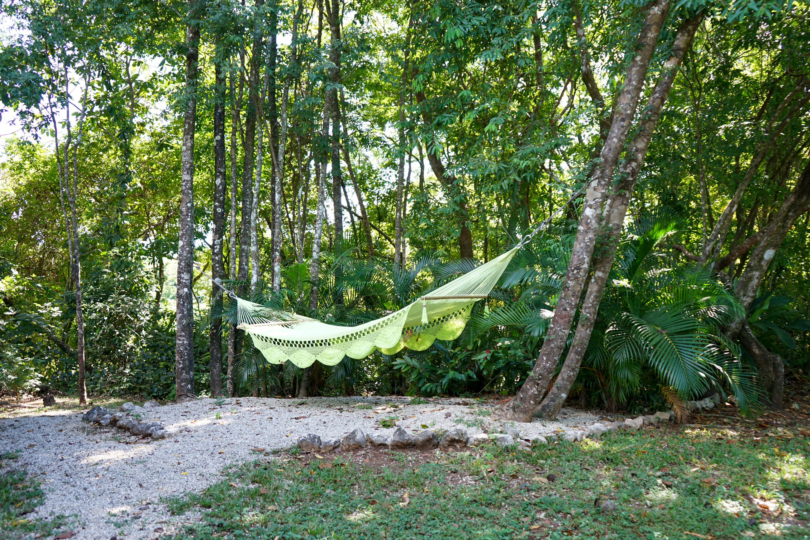 2 bed Single Family Homes For Sale in Ostional, Guanacaste - thumb 24