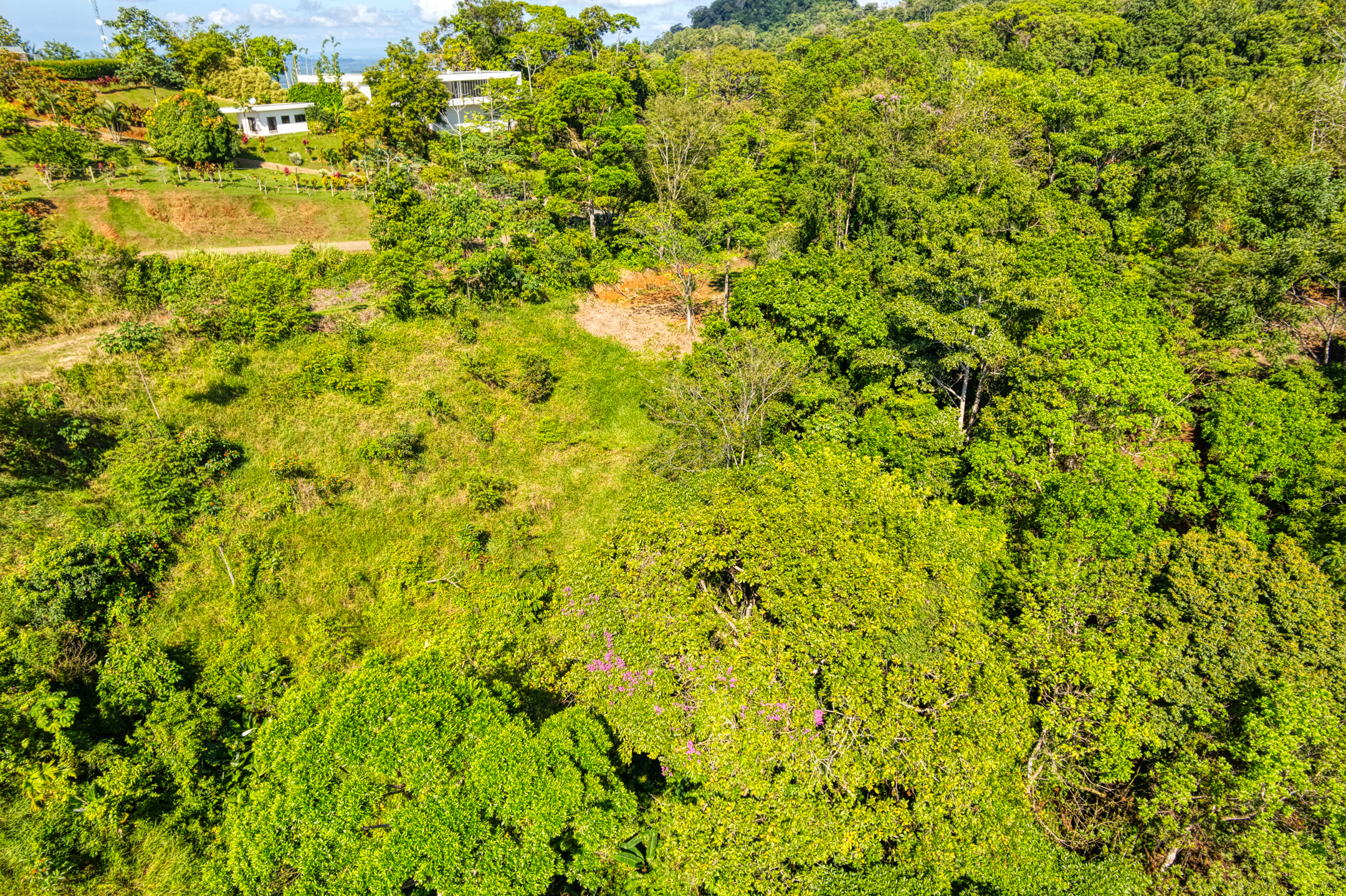 0 bed Land For Sale in Dominical, Puntarenas - thumb 6