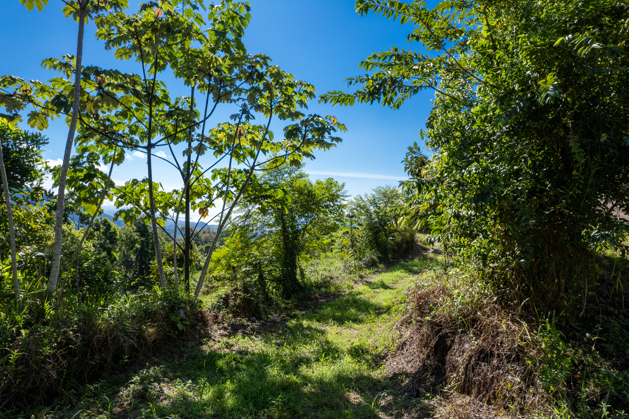 0 bed Land For Sale in Dominical, Puntarenas - thumb 7