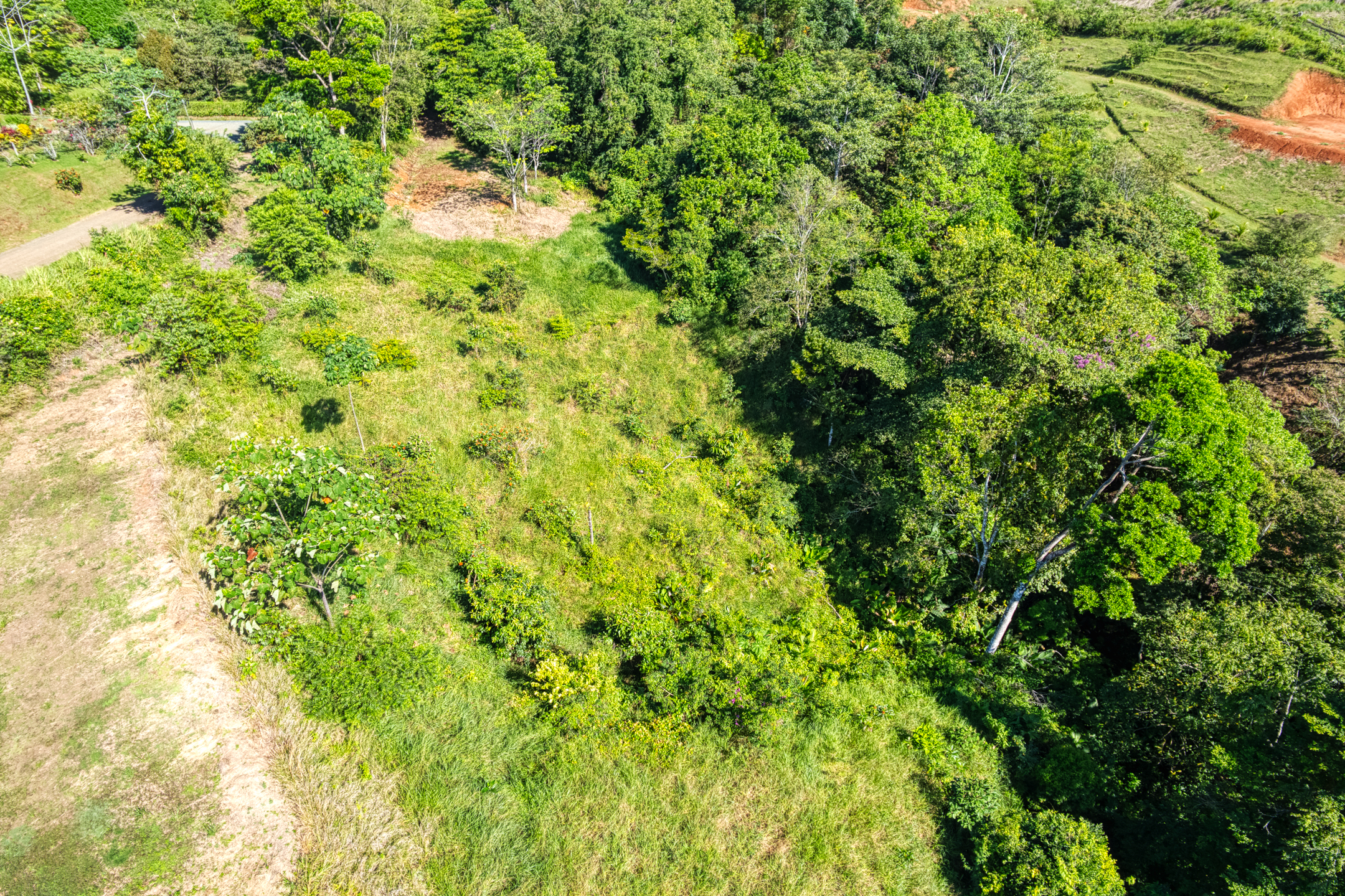 0 bed Land For Sale in Dominical, Puntarenas - thumb 13