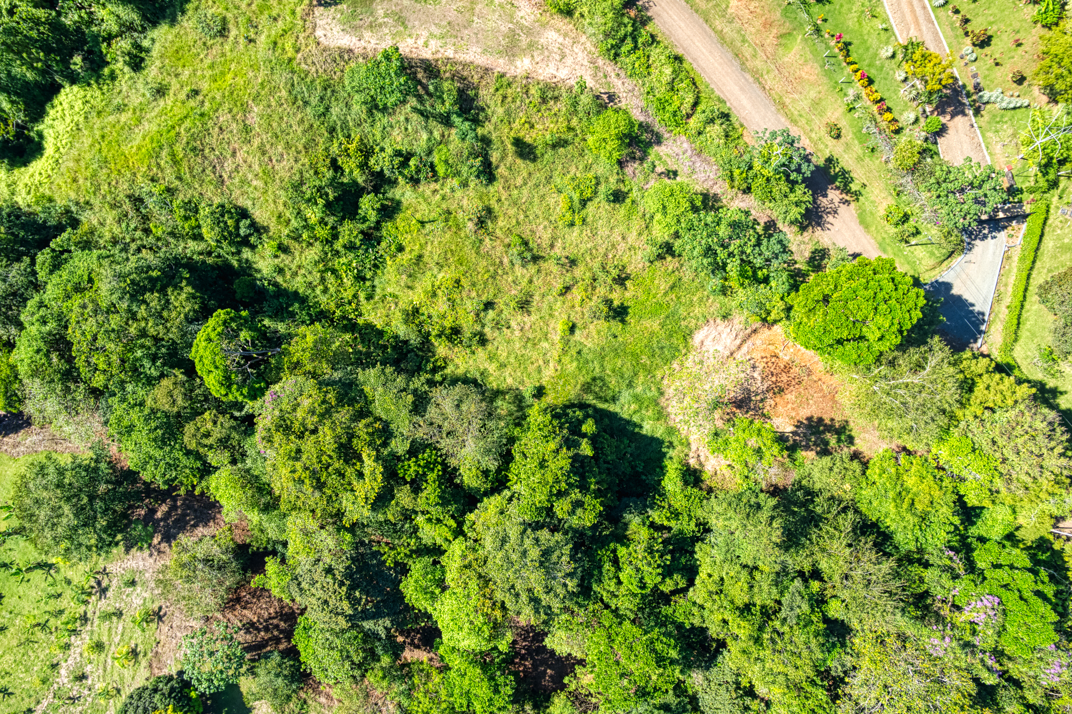 0 bed Land For Sale in Dominical, Puntarenas - thumb 11