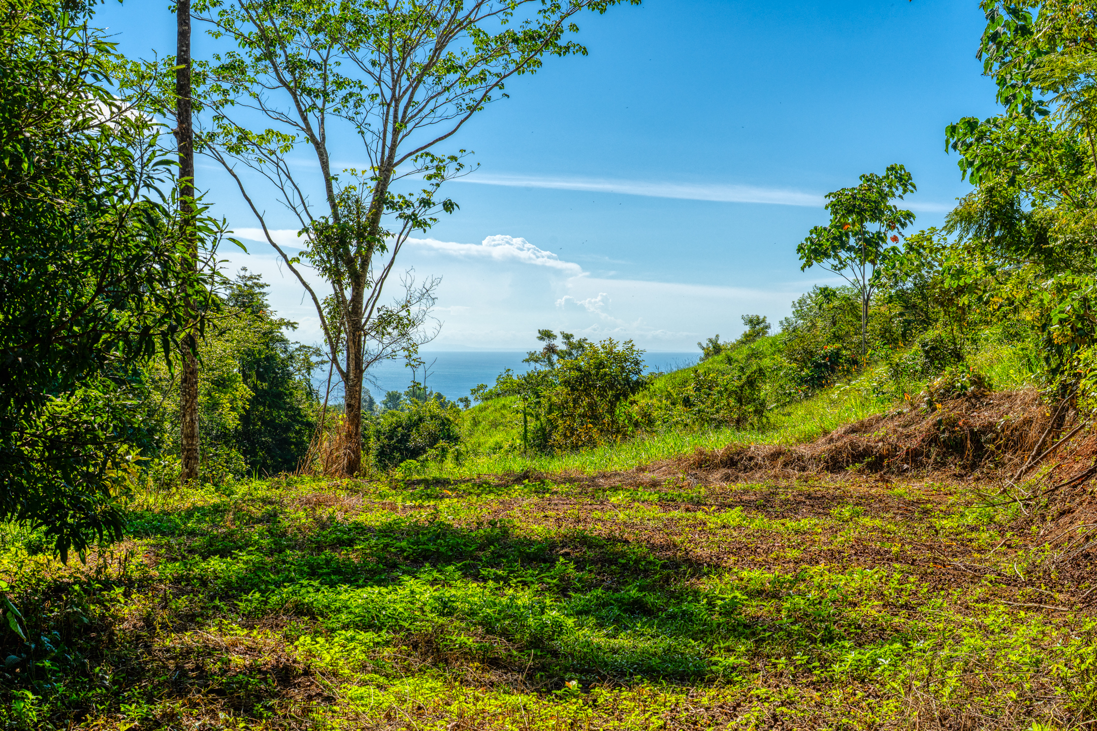 0 bed Land For Sale in Dominical, Puntarenas - thumb 1