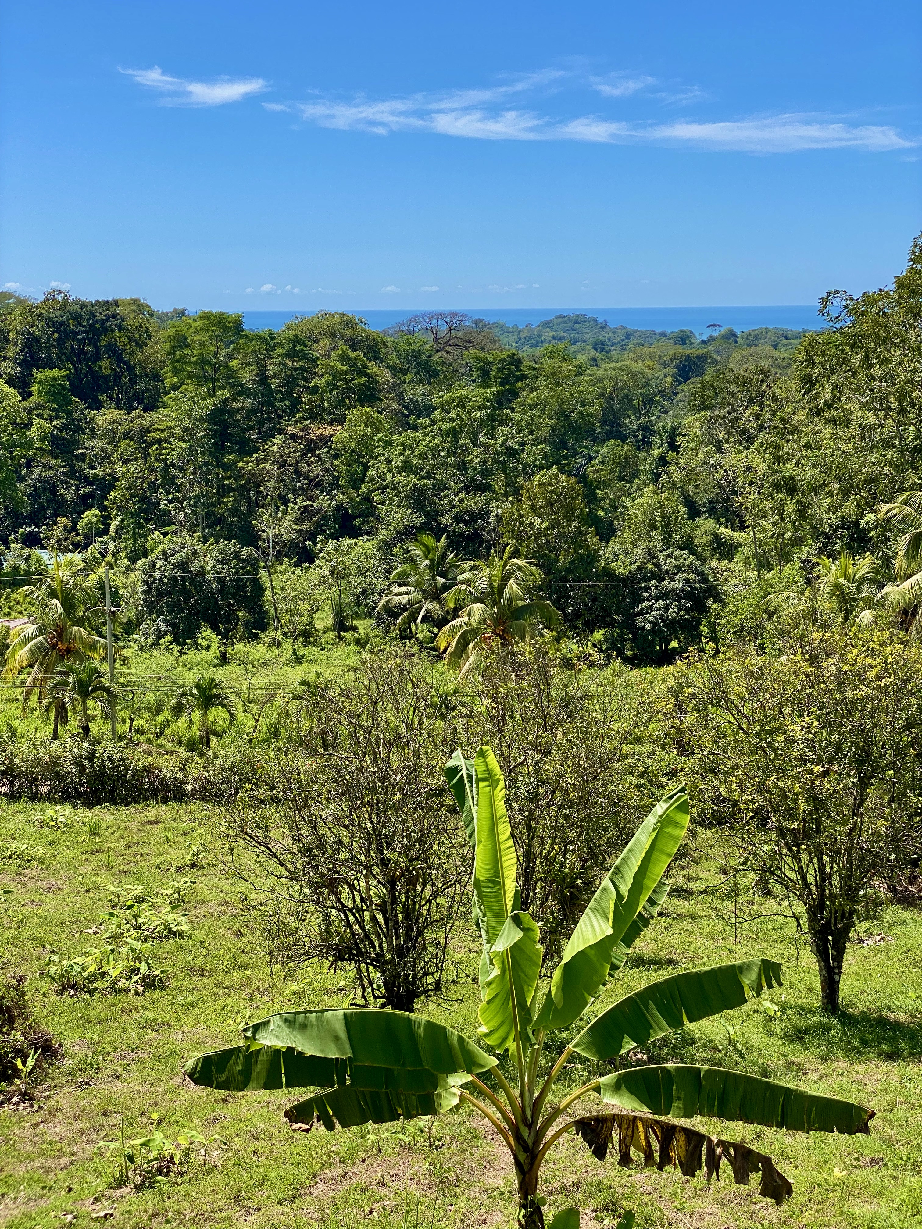 0 bed Land For Sale in Ojochal, Puntarenas - thumb 18