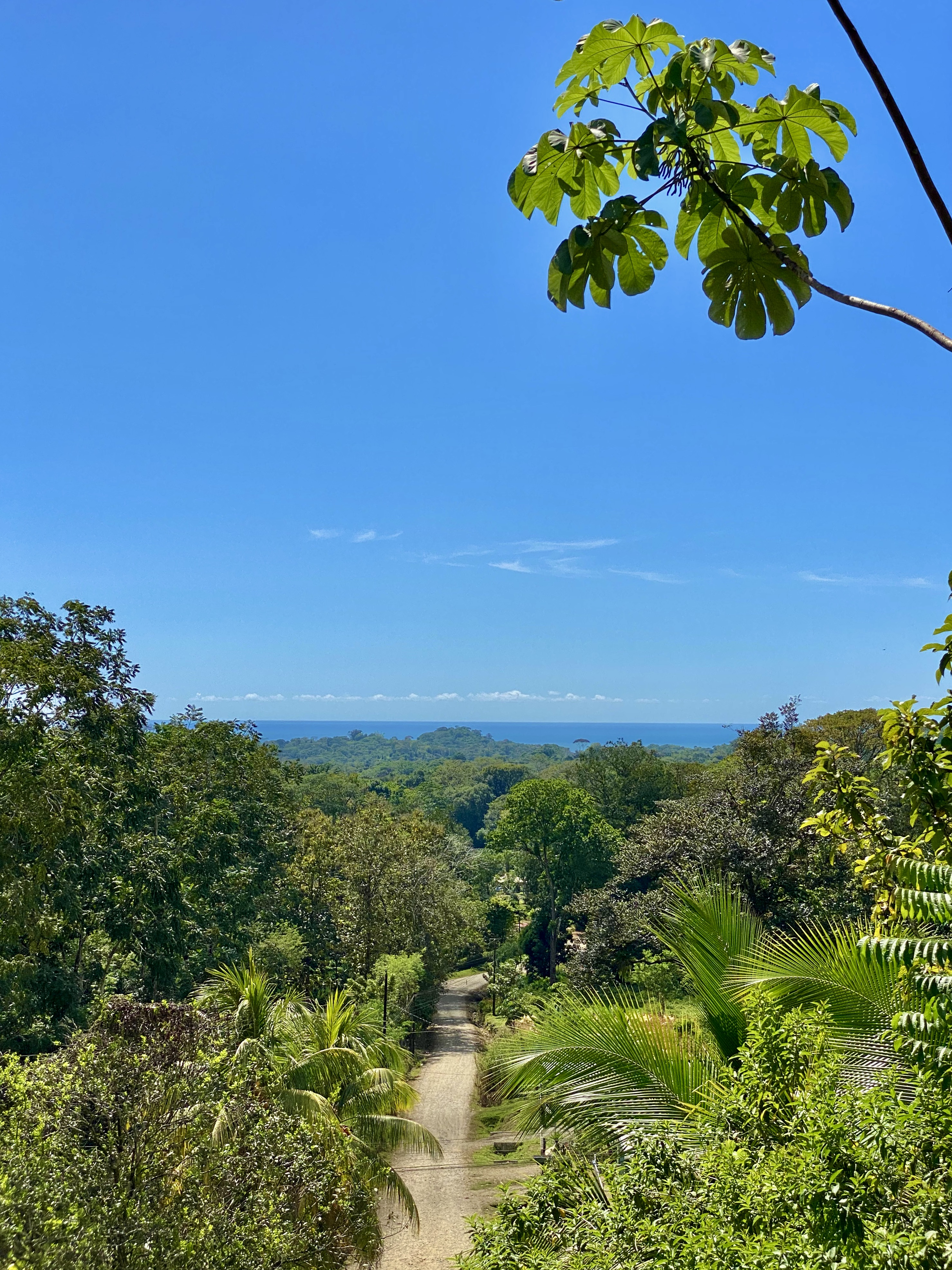 0 bed Land For Sale in Ojochal, Puntarenas - thumb 3