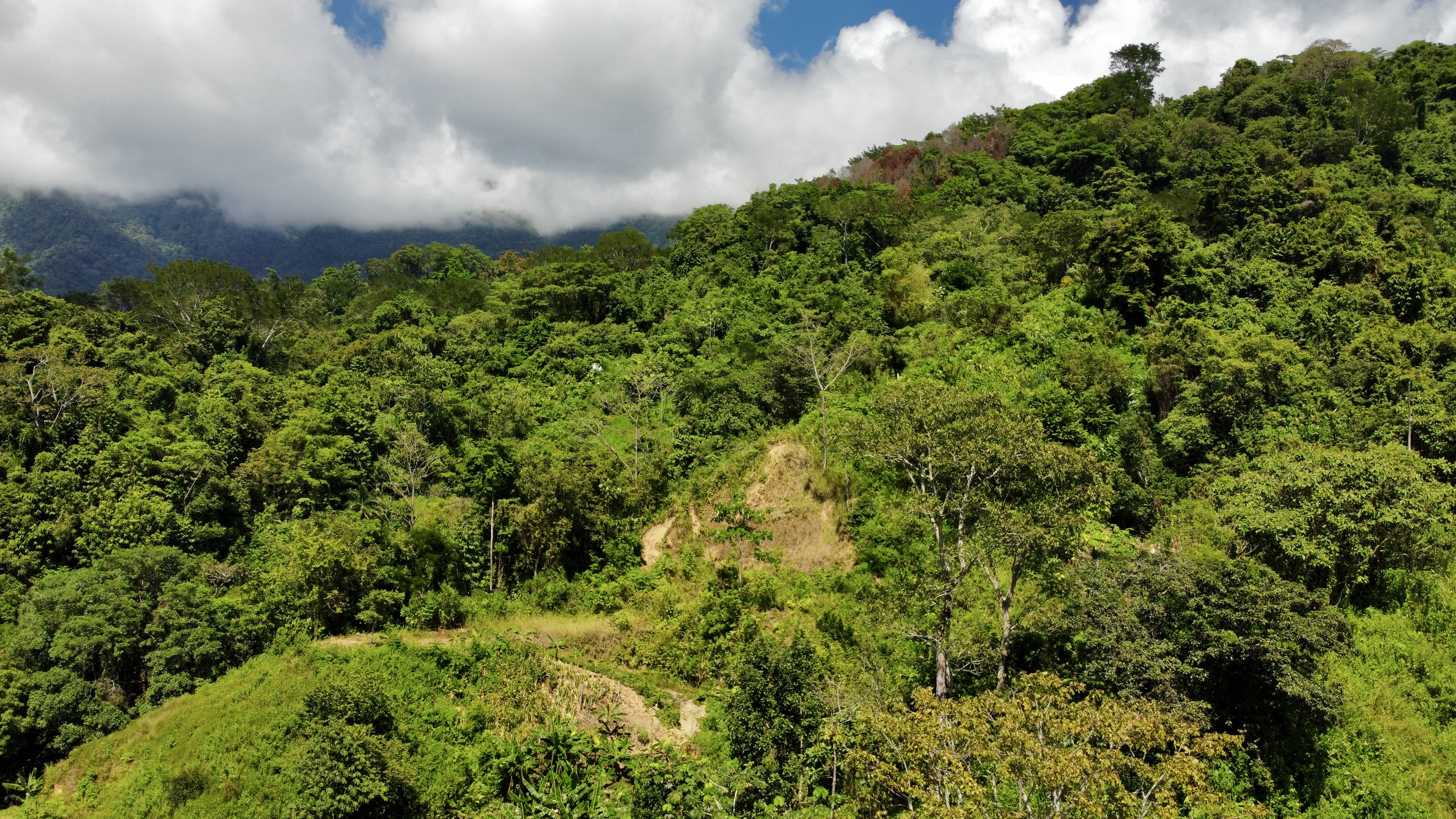 0 bed Land For Sale in Ojochal, Puntarenas - thumb 16