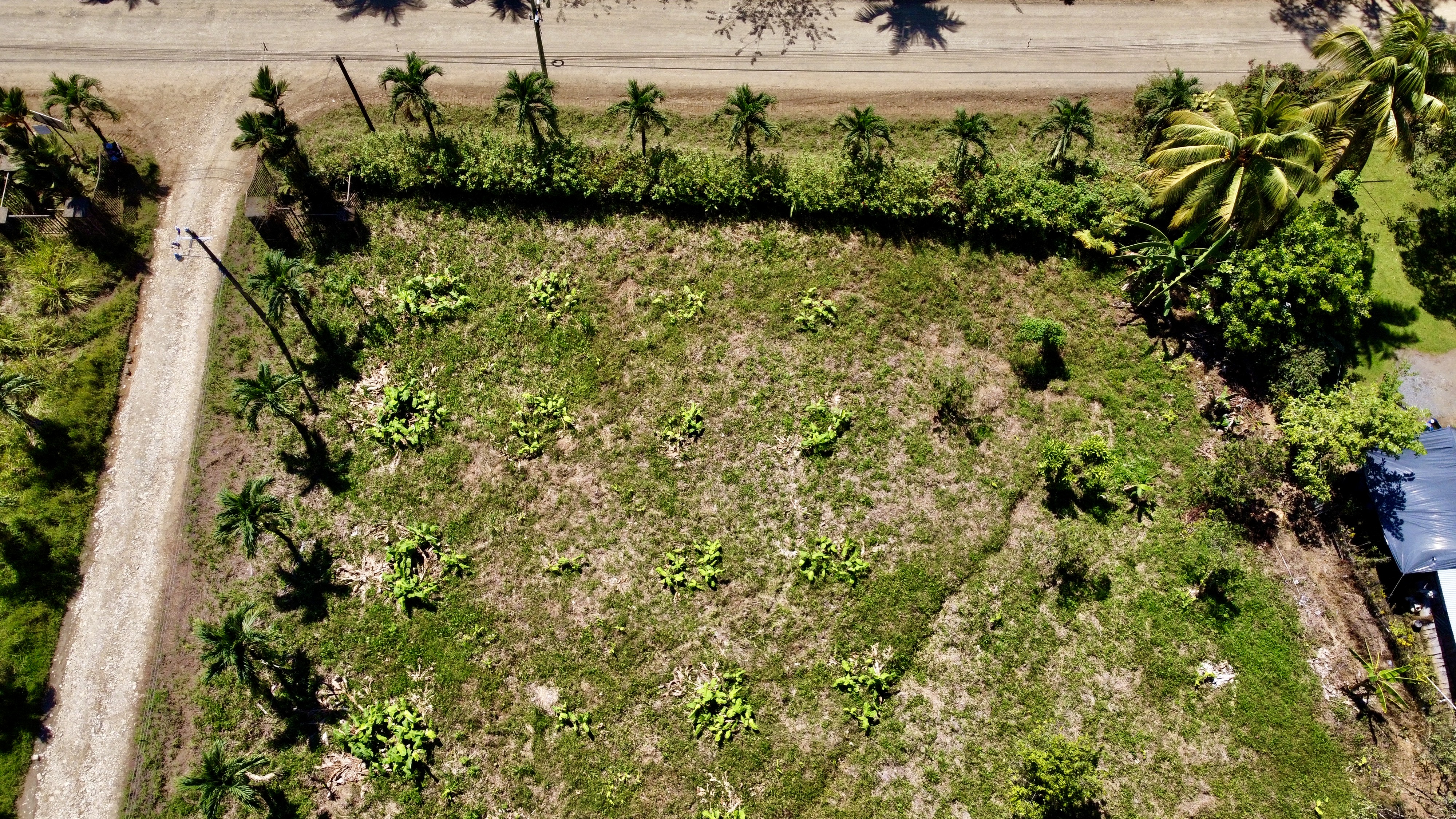 0 bed Land For Sale in Ojochal, Puntarenas - thumb 14