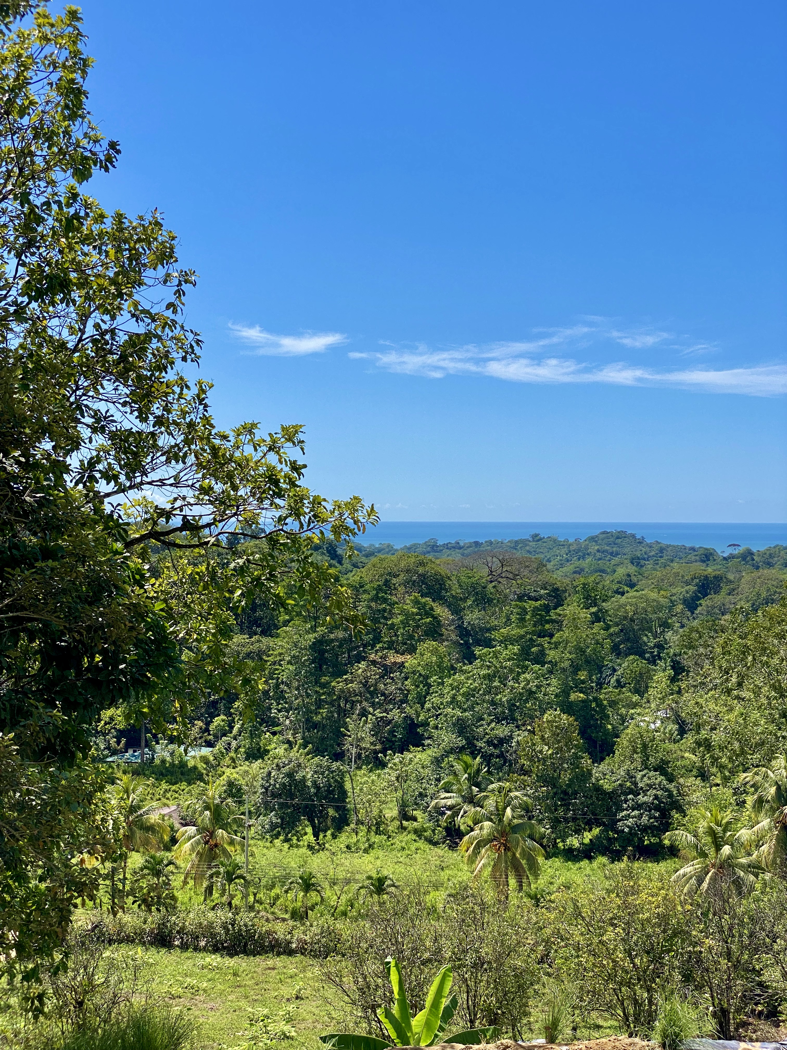 0 bed Land For Sale in Ojochal, Puntarenas - thumb 2