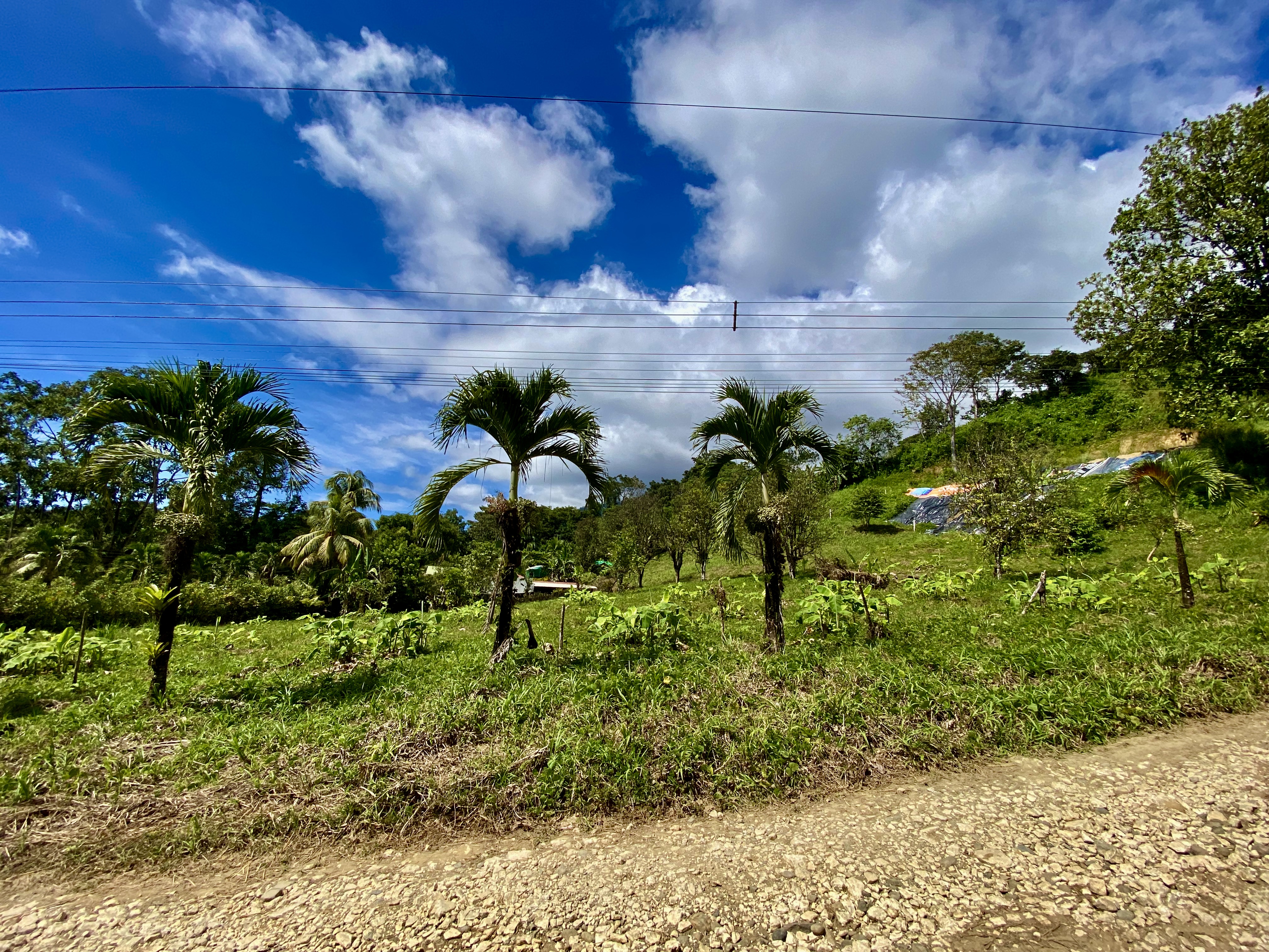 0 bed Land For Sale in Ojochal, Puntarenas - thumb 10