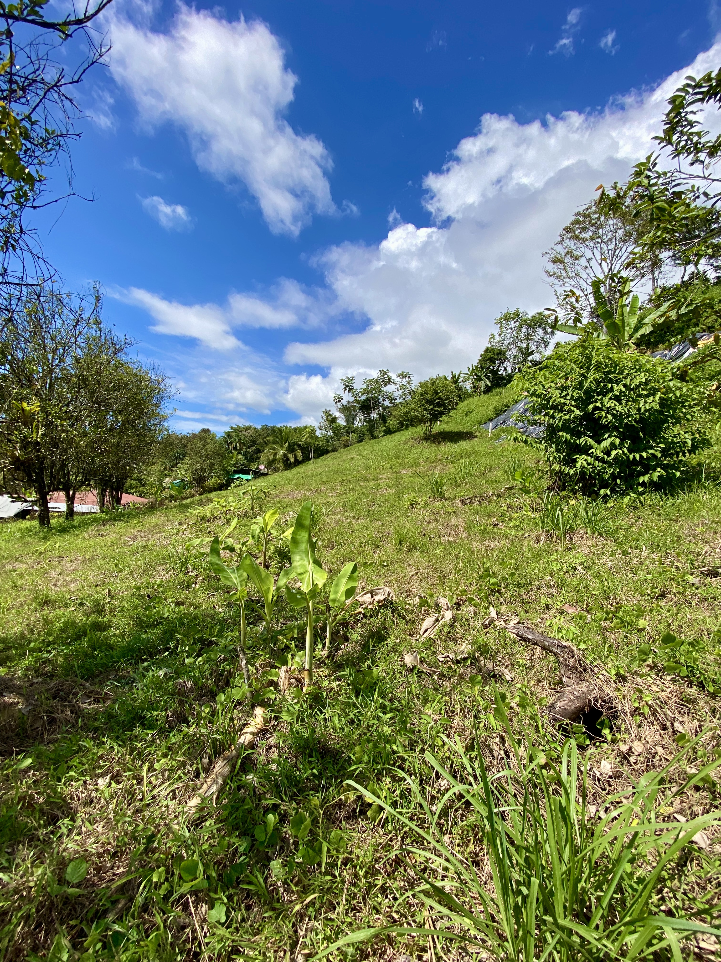 0 bed Land For Sale in Ojochal, Puntarenas - thumb 8