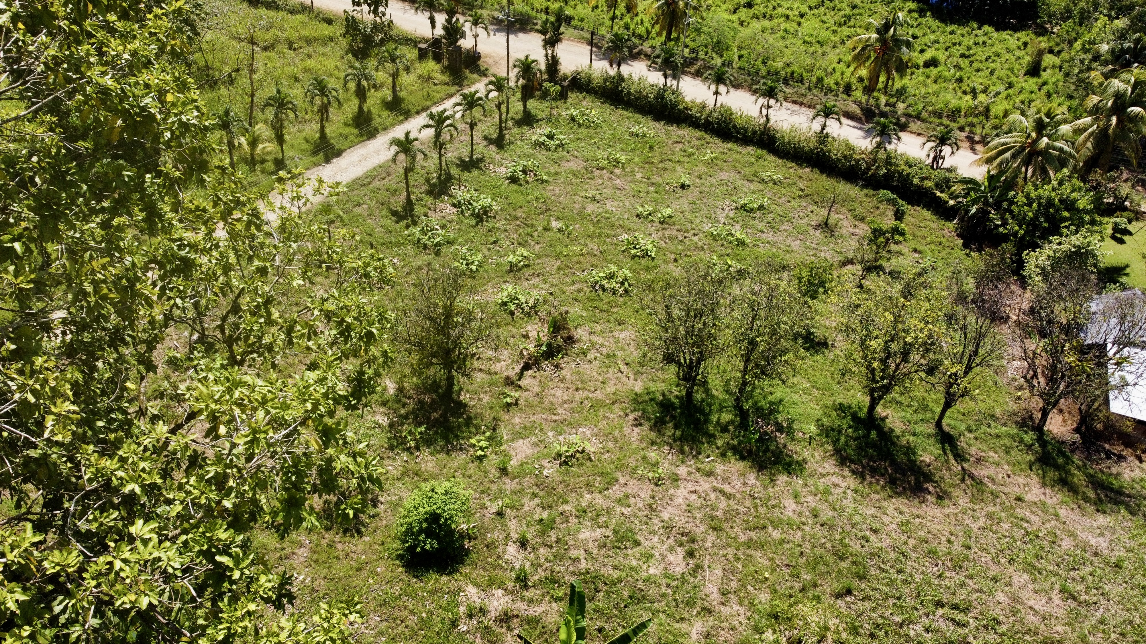 0 bed Land For Sale in Ojochal, Puntarenas - thumb 13