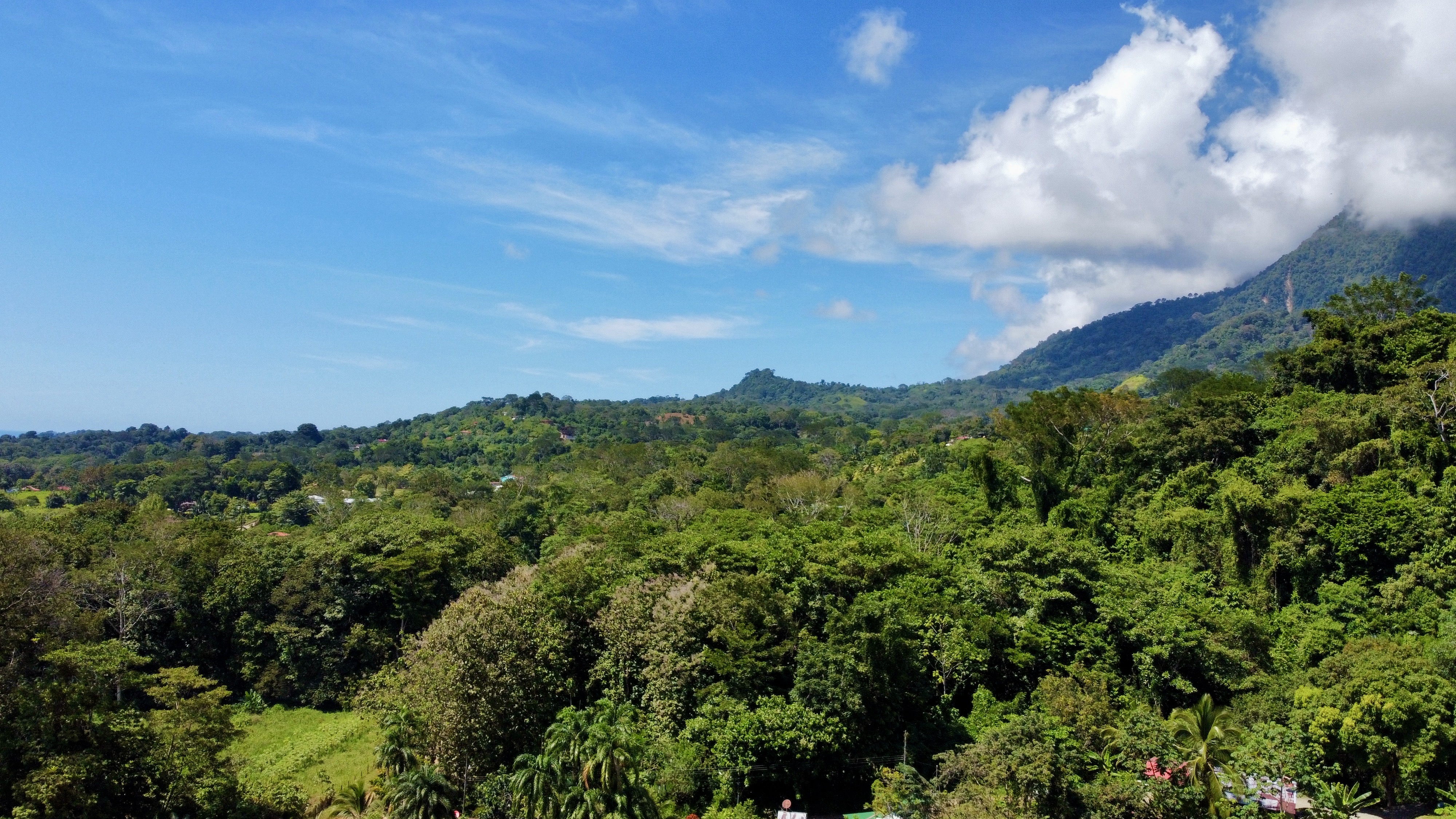 0 bed Land For Sale in Ojochal, Puntarenas - thumb 12