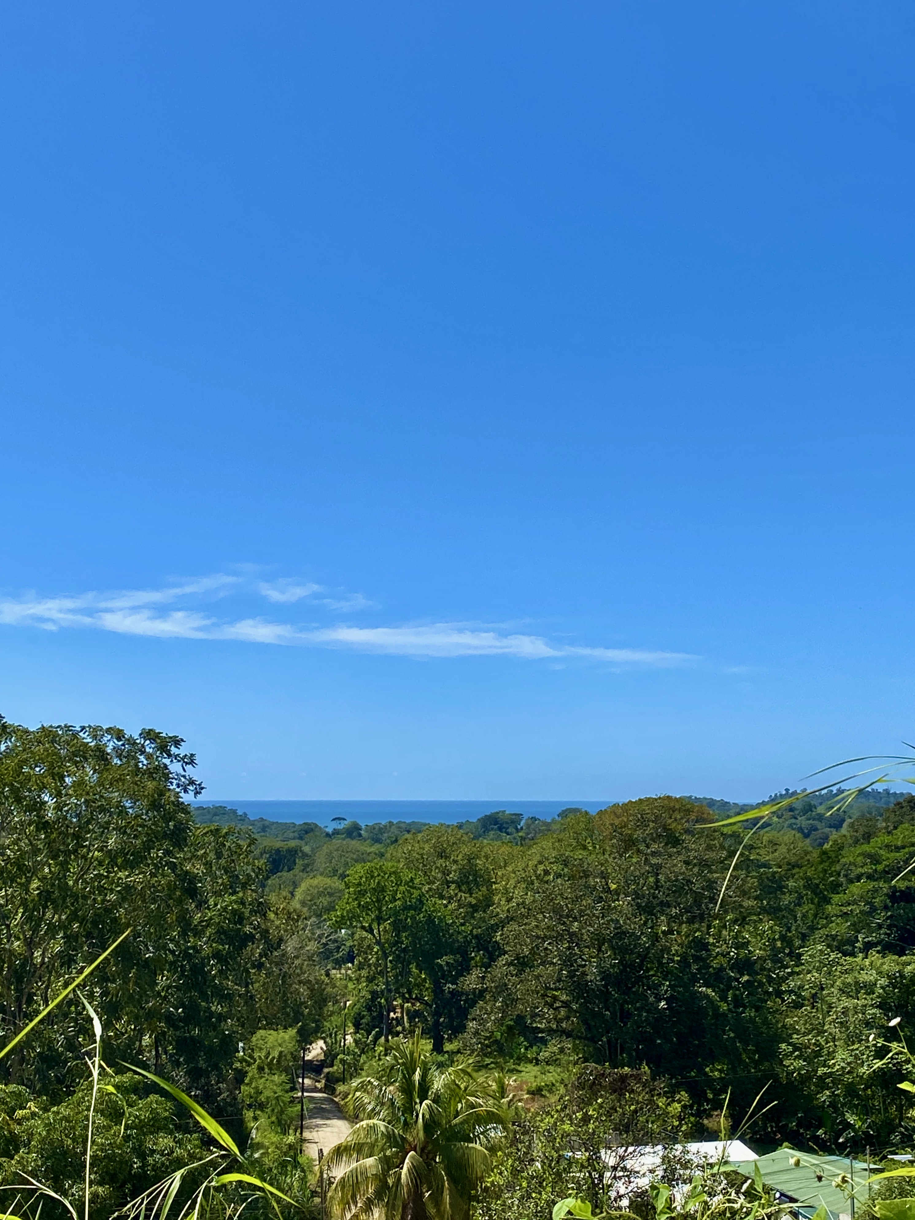 0 bed Land For Sale in Ojochal, Puntarenas - thumb 15