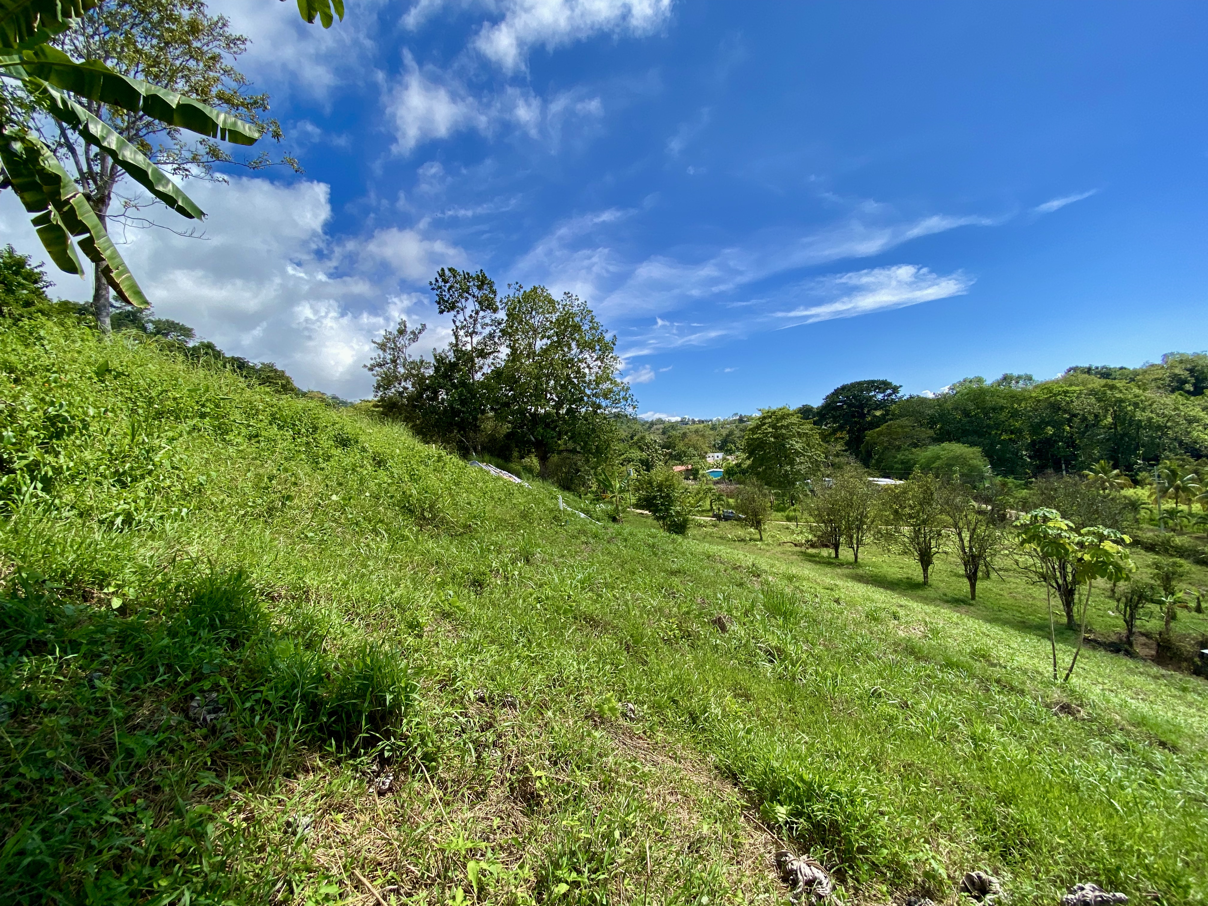 0 bed Land For Sale in Ojochal, Puntarenas - thumb 4
