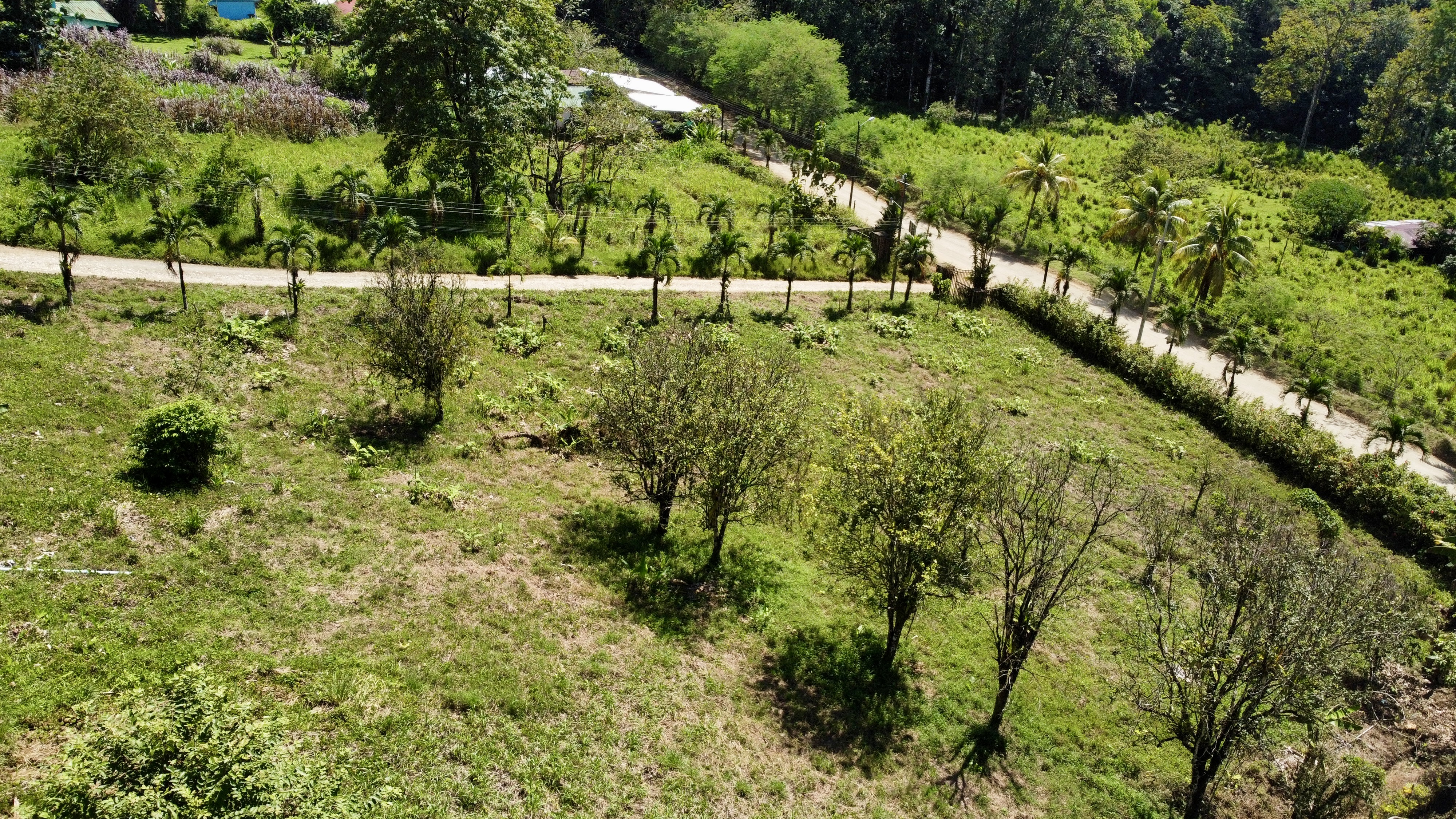 0 bed Land For Sale in Ojochal, Puntarenas - thumb 17