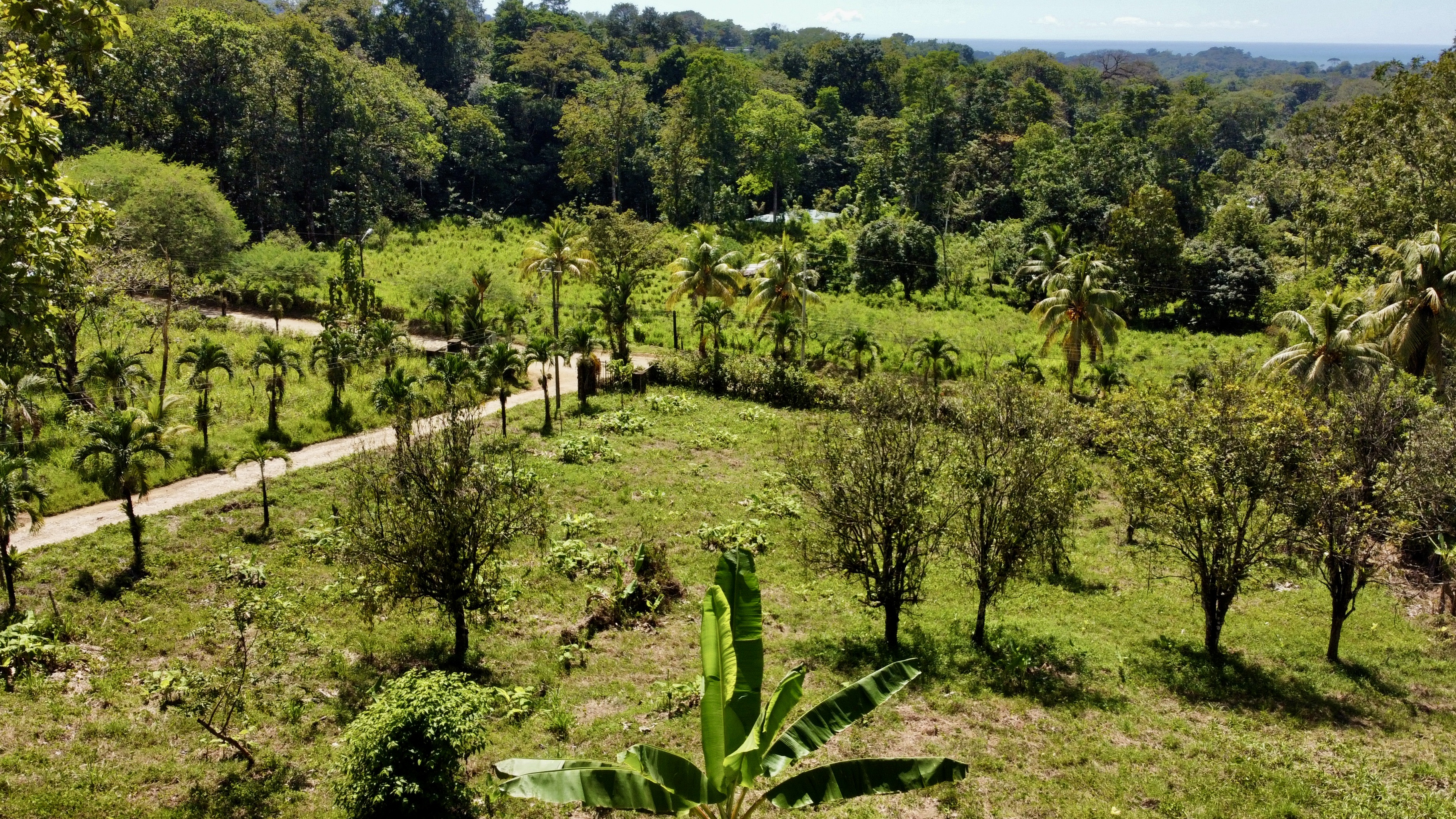 0 bed Land For Sale in Ojochal, Puntarenas - thumb 11