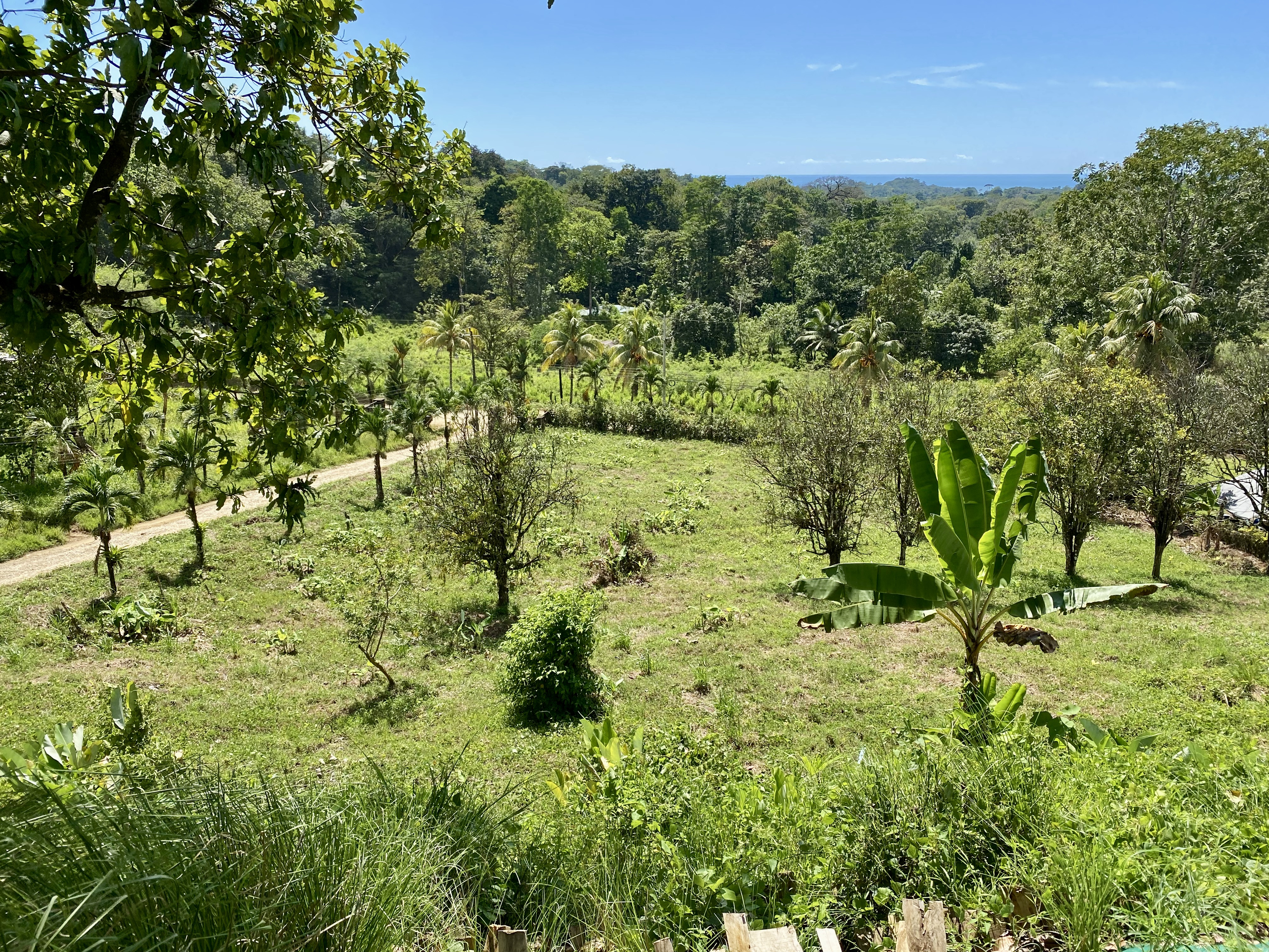 0 bed Land For Sale in Ojochal, Puntarenas - thumb 5