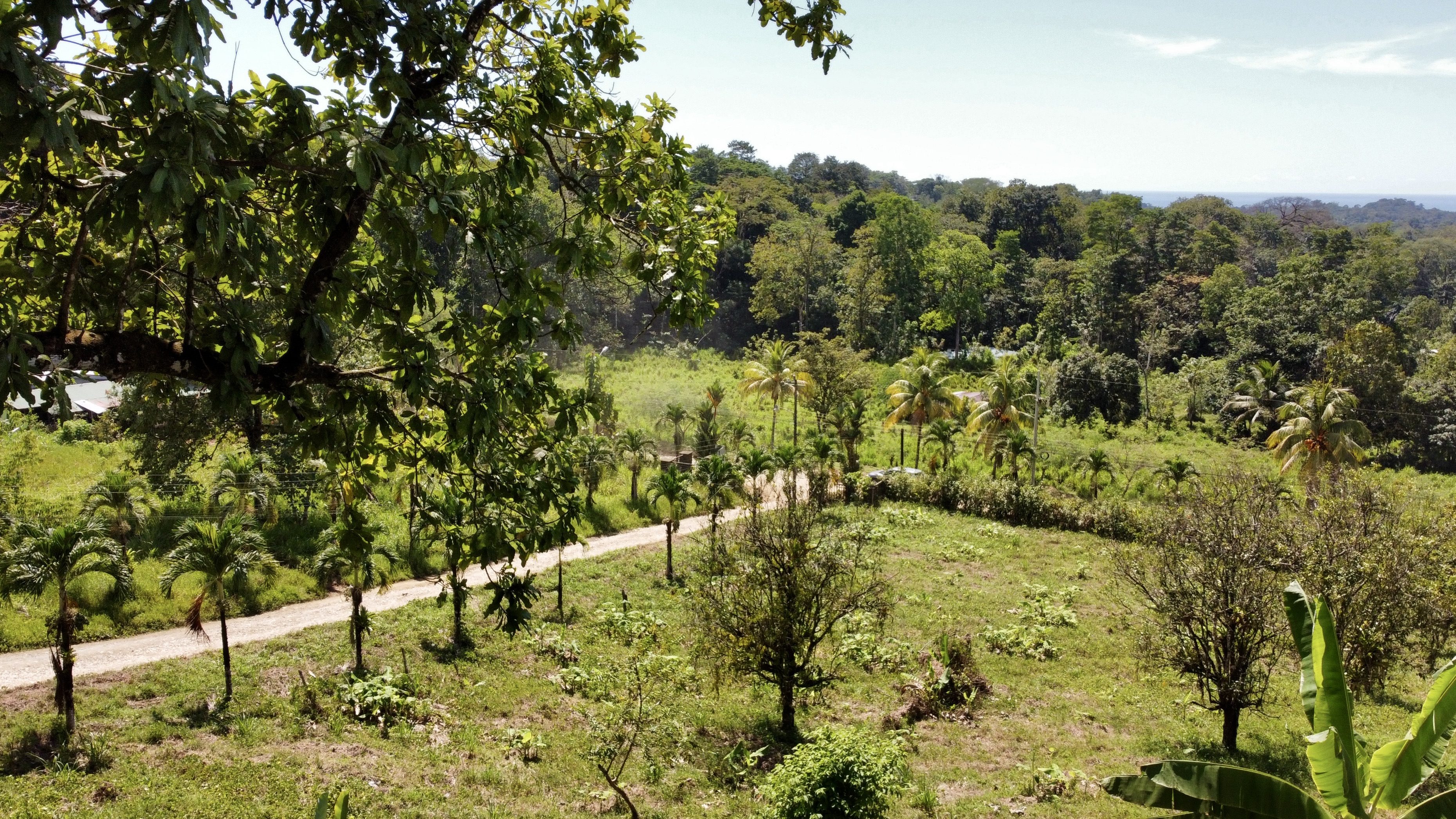 0 bed Land For Sale in Ojochal, Puntarenas - thumb 9