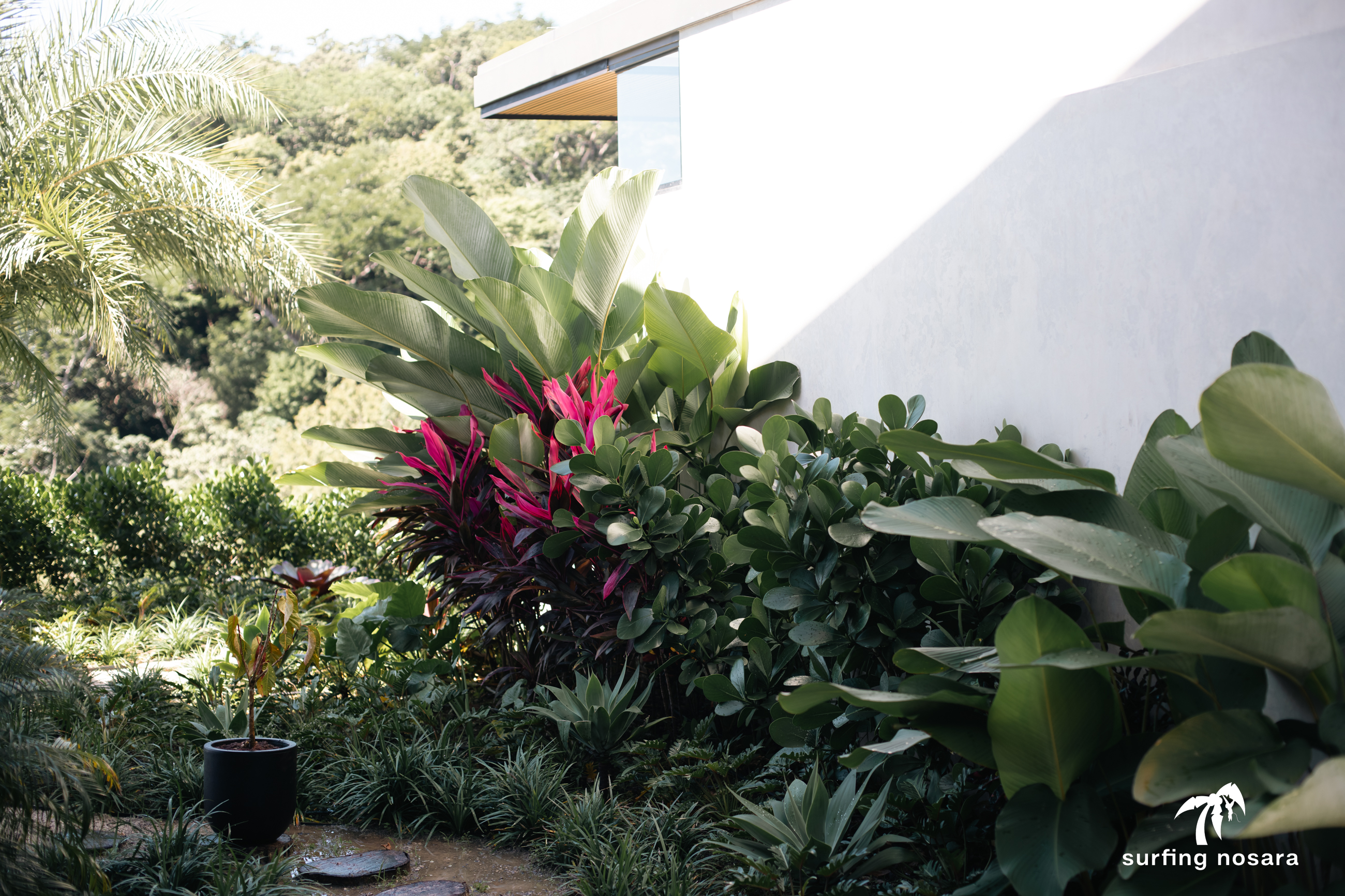 3 bed Single Family Homes For Sale in Nosara, Guanacaste - thumb 5