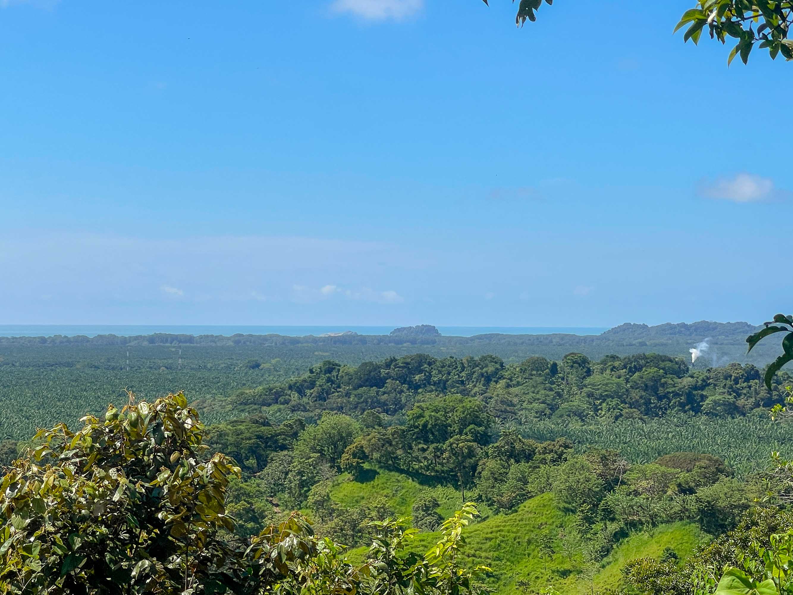0 bed Land For Sale in Manuel Antonio, Puntarenas - thumb 5