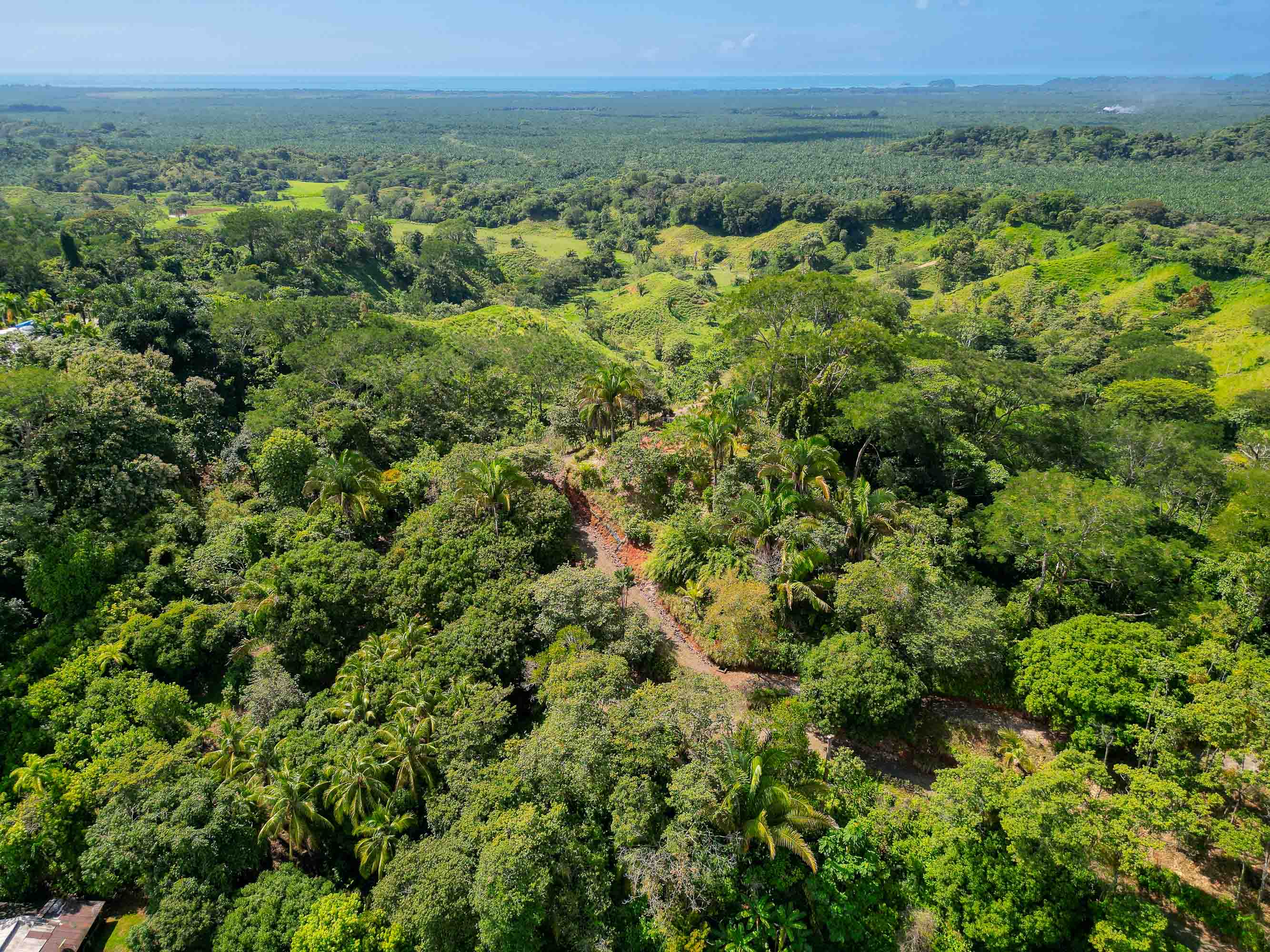 0 bed Land For Sale in Manuel Antonio, Puntarenas - thumb 7