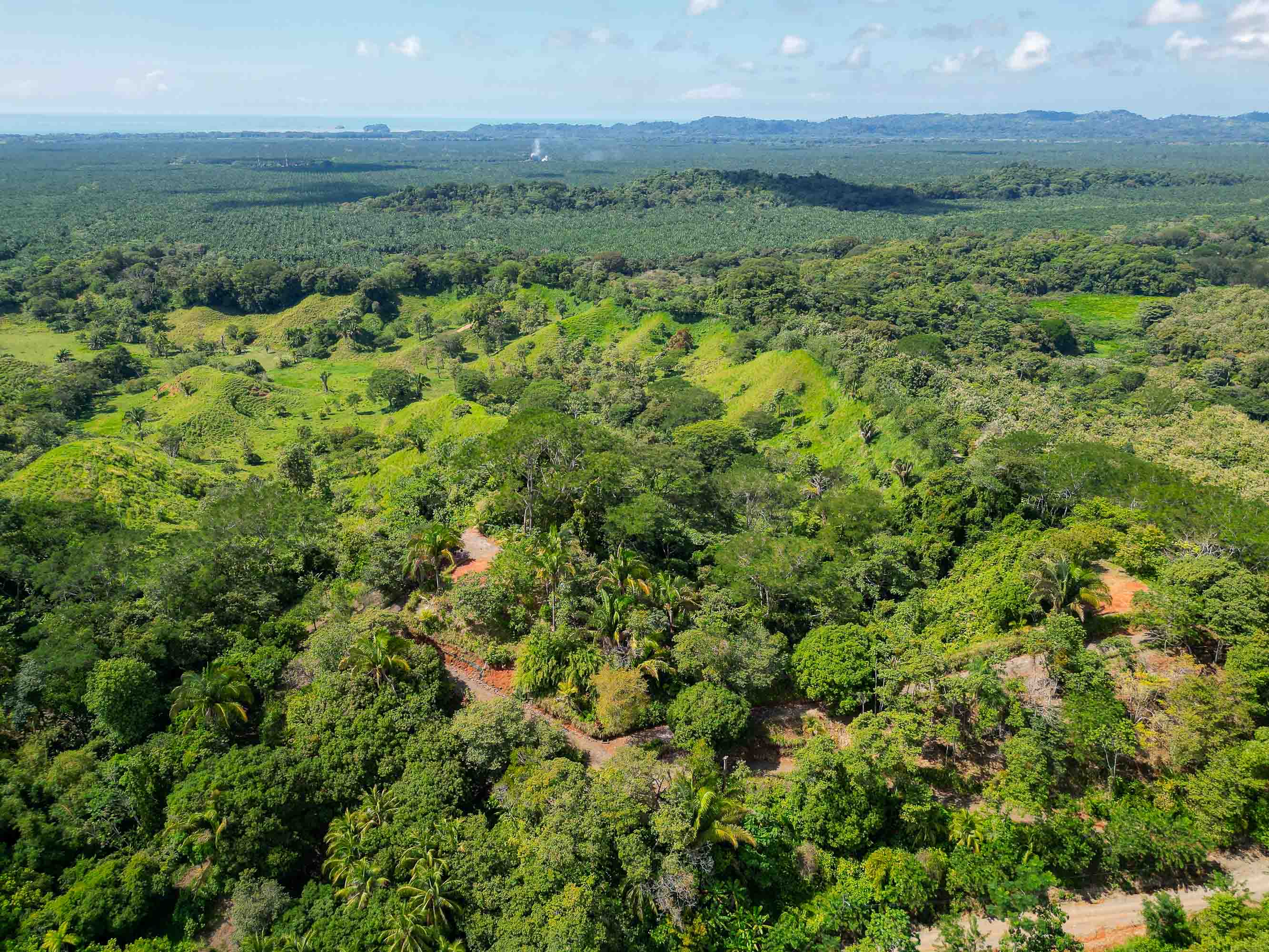 0 bed Land For Sale in Manuel Antonio, Puntarenas - thumb 1