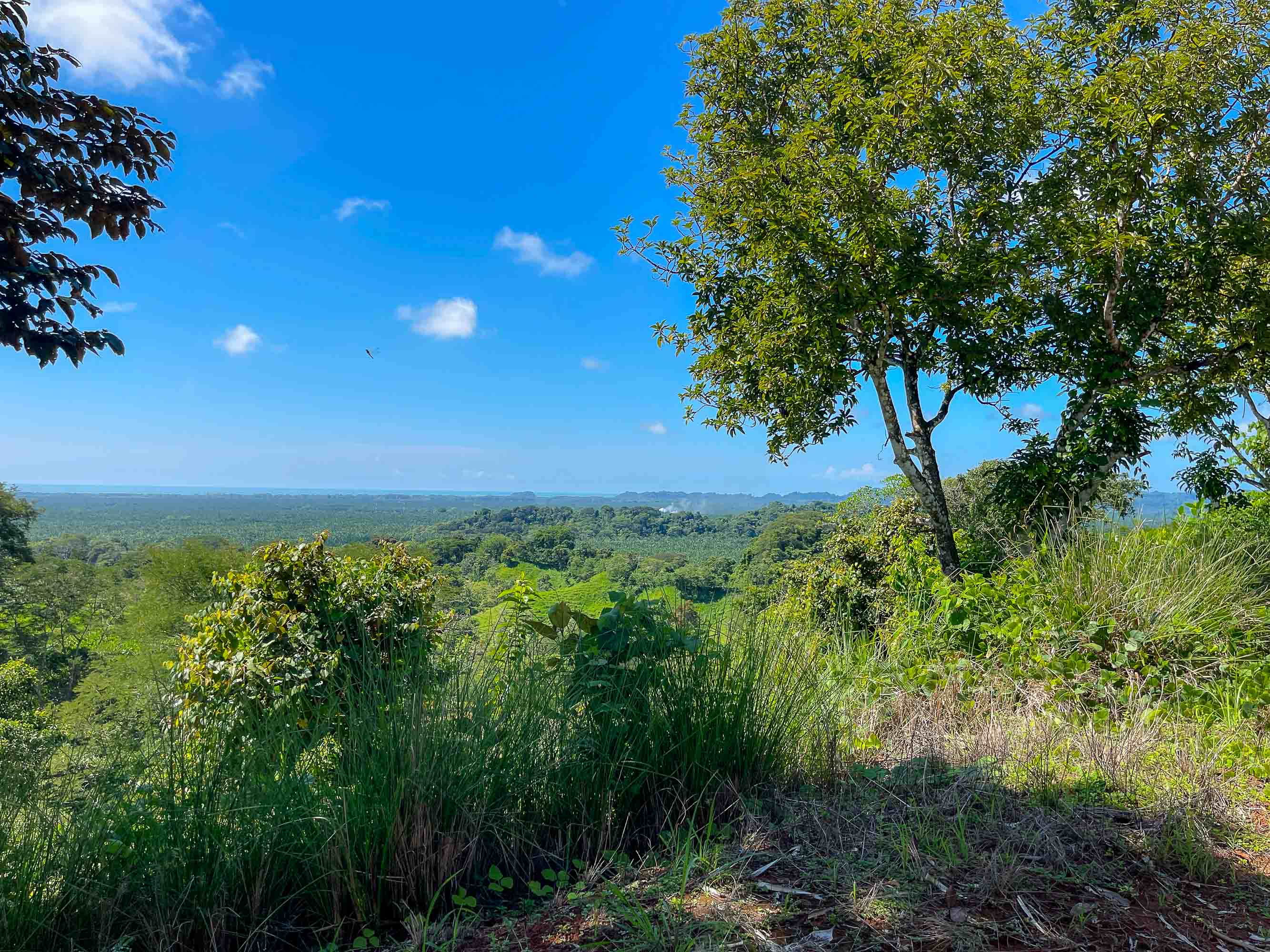 0 bed Land For Sale in Manuel Antonio, Puntarenas - thumb 2