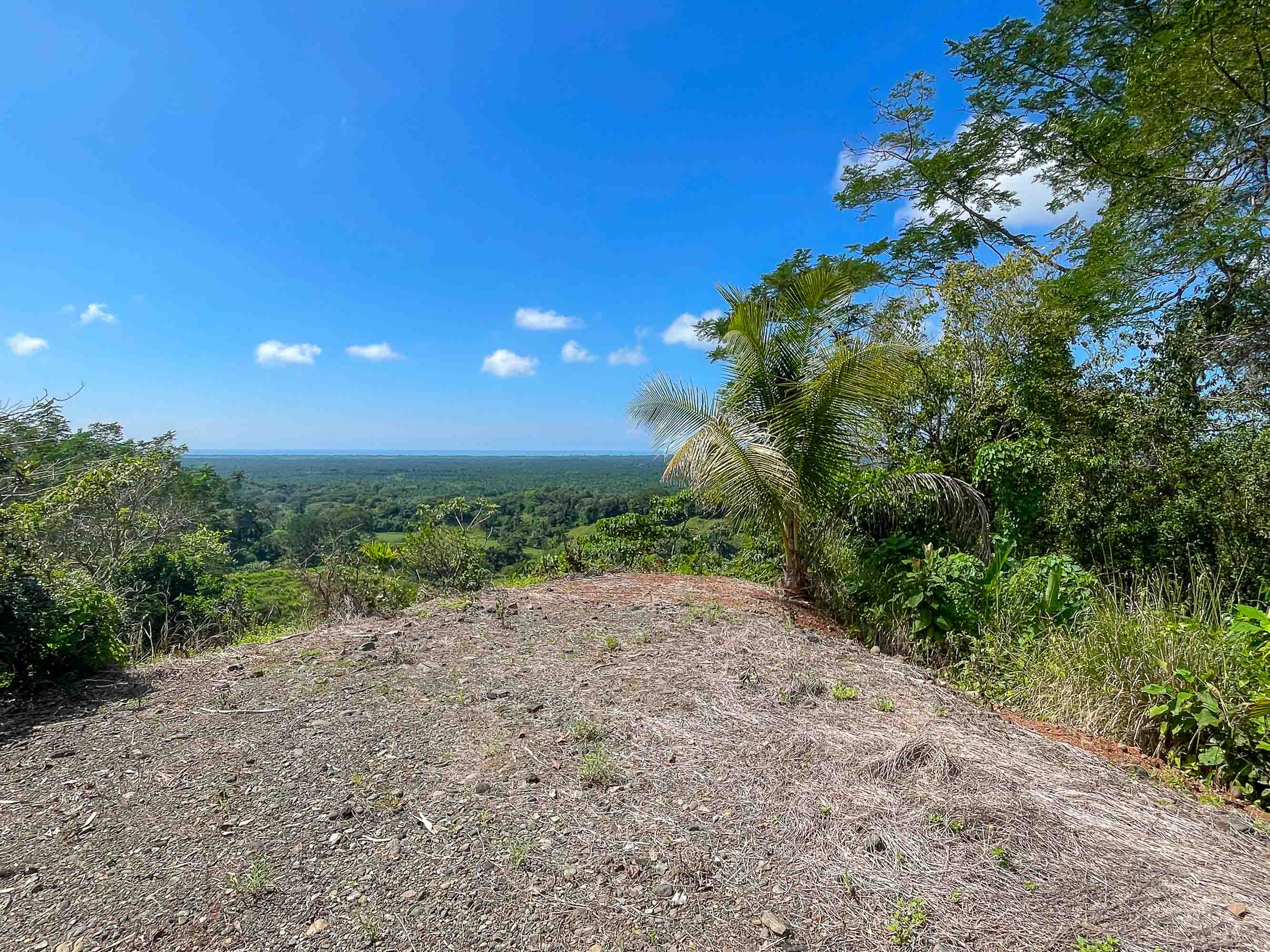 0 bed Land For Sale in Manuel Antonio, Puntarenas - thumb 8