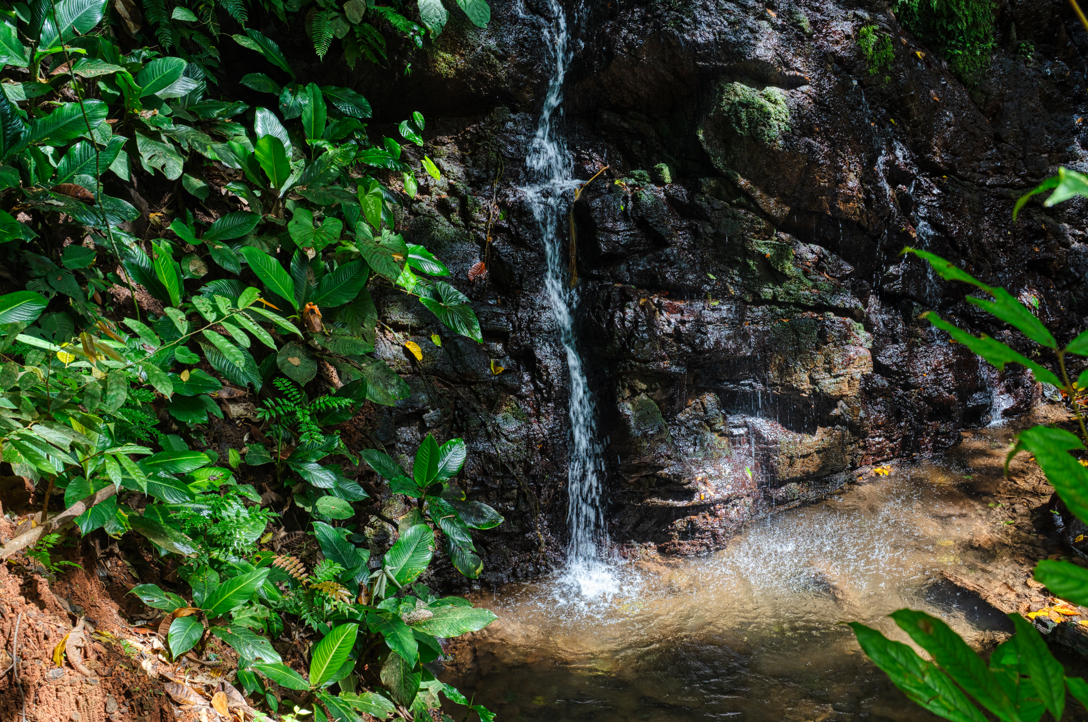 0 bed Land For Sale in Matapalo, Puntarenas - thumb 23