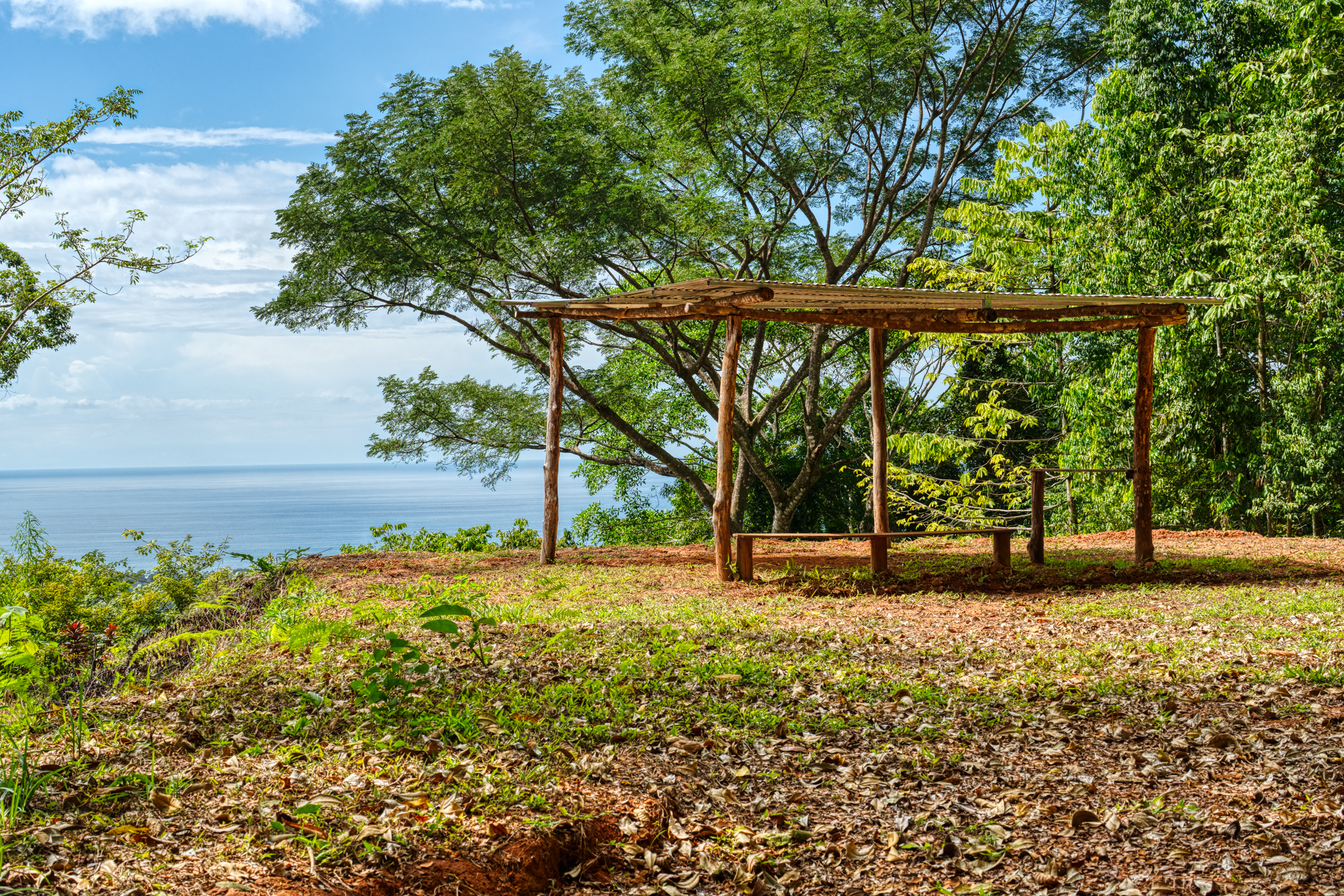 0 bed Land For Sale in Matapalo, Puntarenas - thumb 17