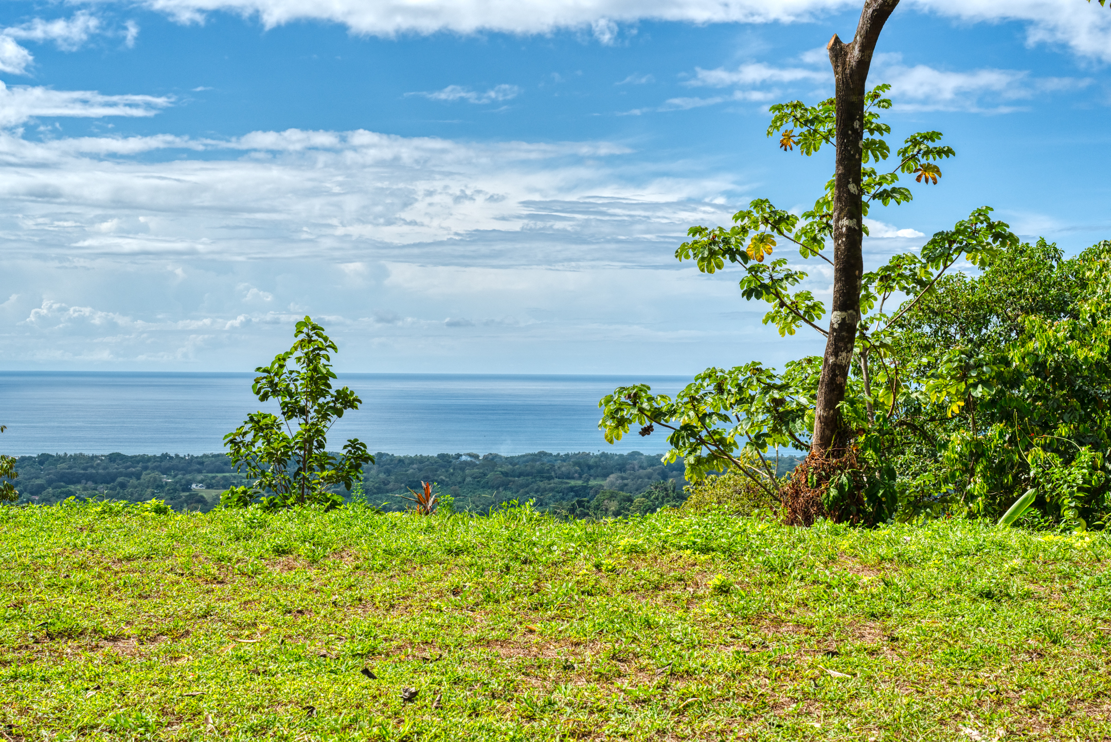0 bed Land For Sale in Matapalo, Puntarenas - thumb 7