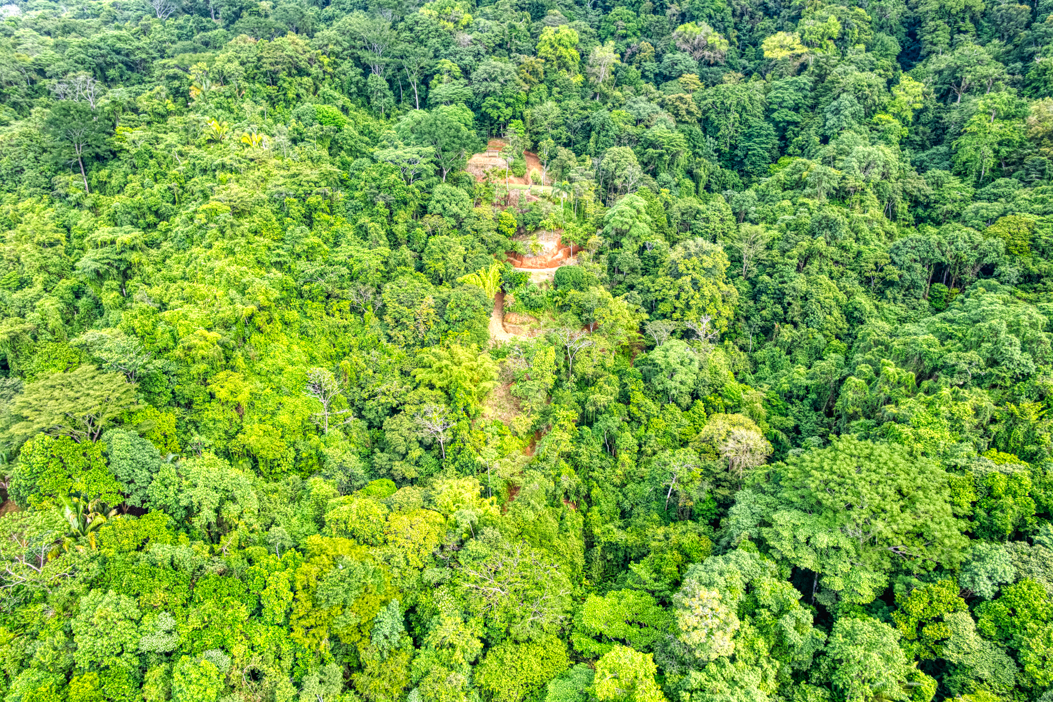 0 bed Land For Sale in Matapalo, Puntarenas - thumb 20