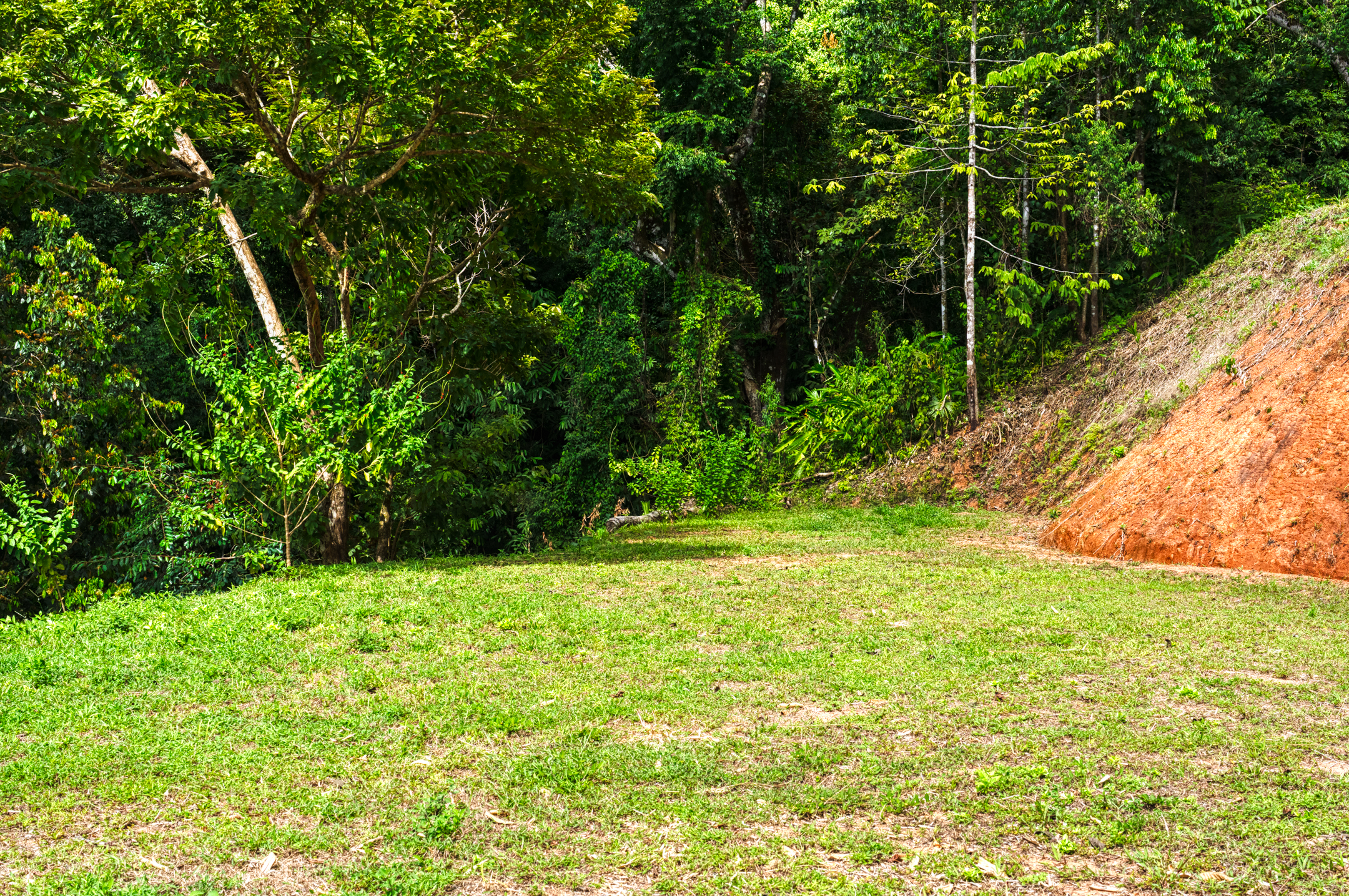 0 bed Land For Sale in Matapalo, Puntarenas - thumb 19
