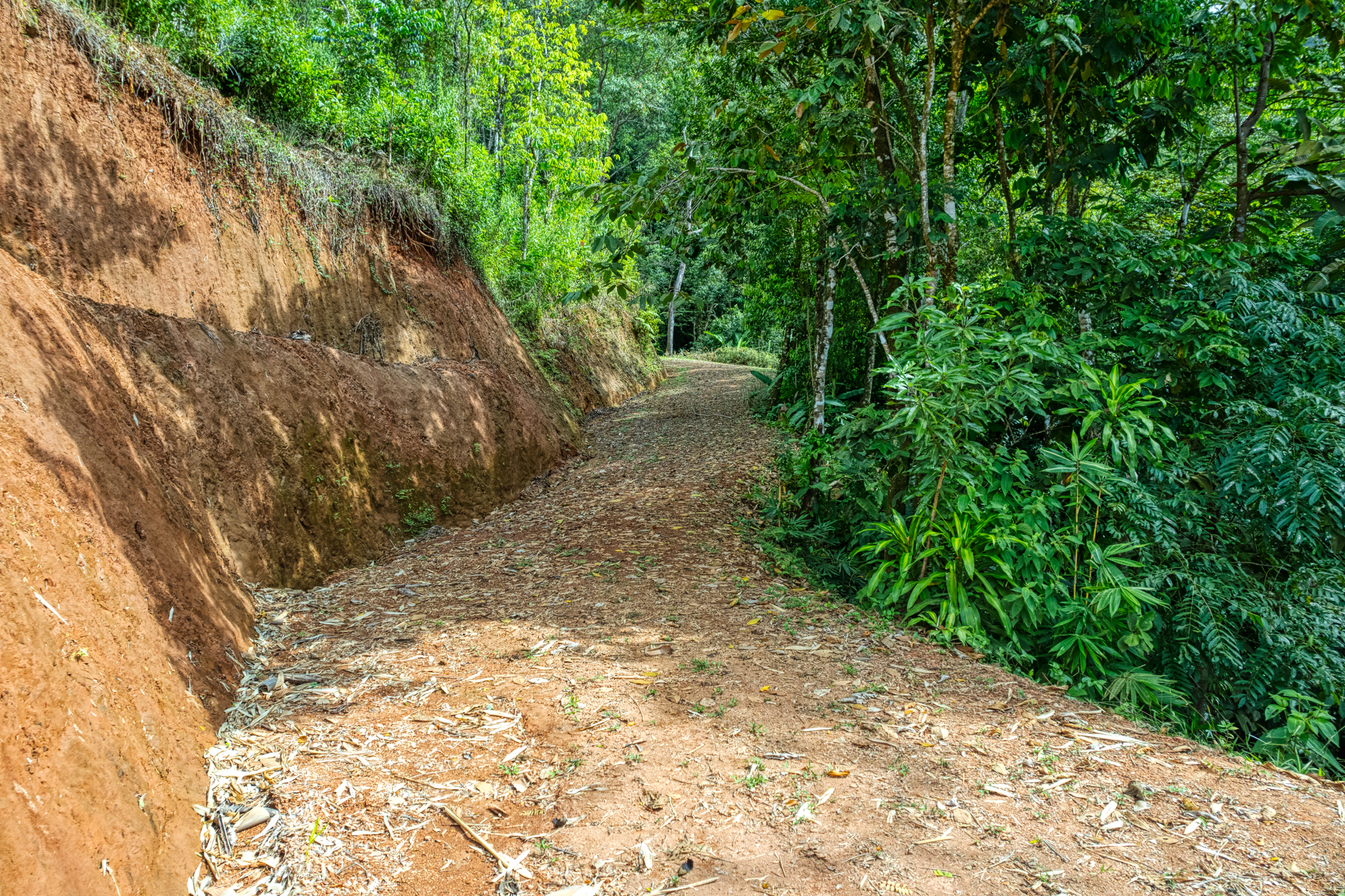 0 bed Land For Sale in Matapalo, Puntarenas - thumb 15